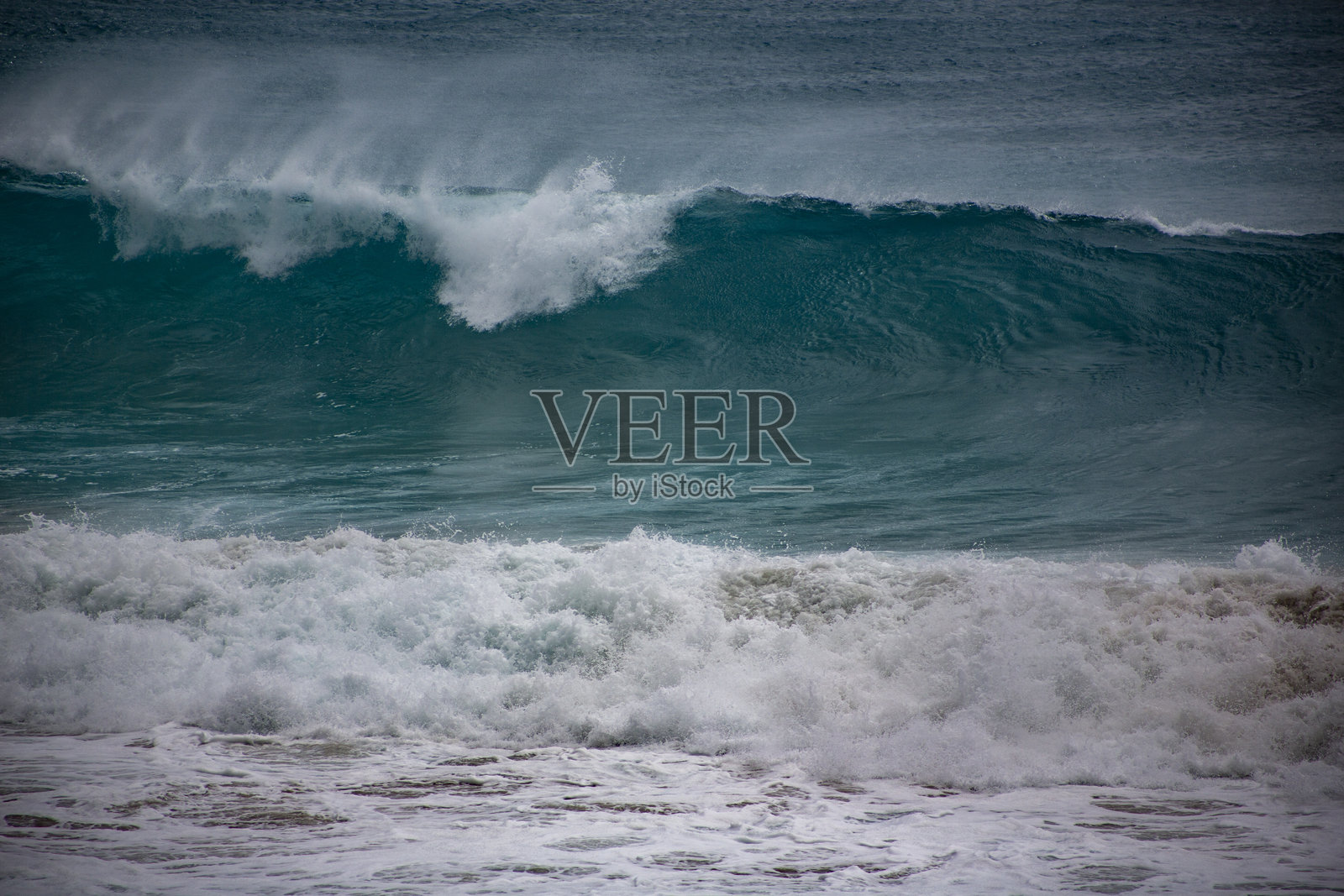 奄美的自然照片摄影图片