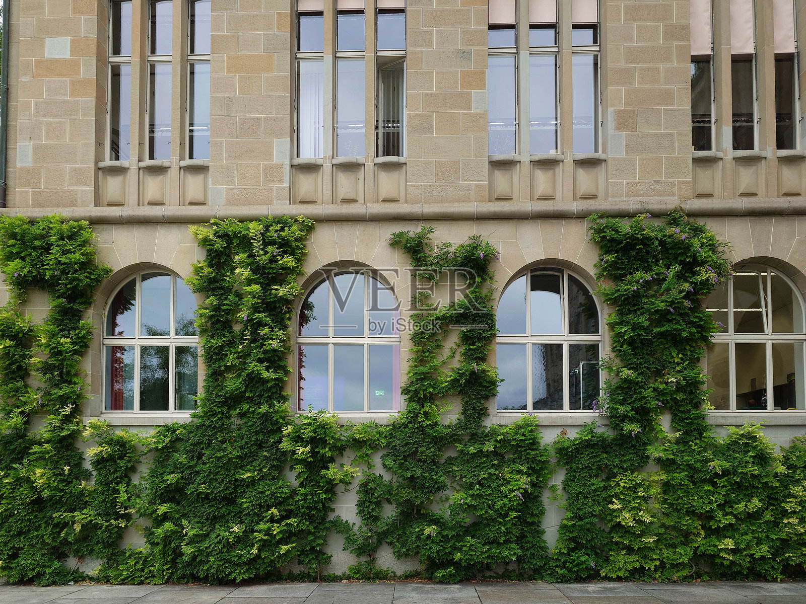2024年6月9日，瑞士苏黎世。苏黎世大学主楼入口的大窗户周围长满了美丽的常春藤，没有人。照片摄影图片
