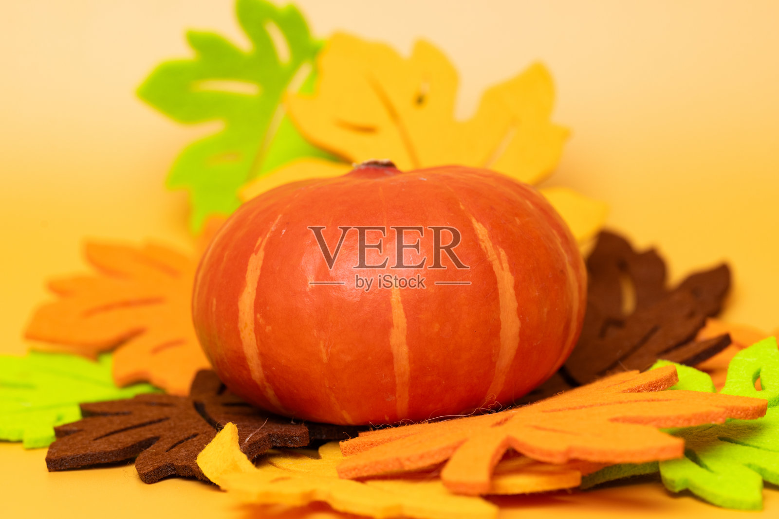 秋季万圣节装饰照片摄影图片