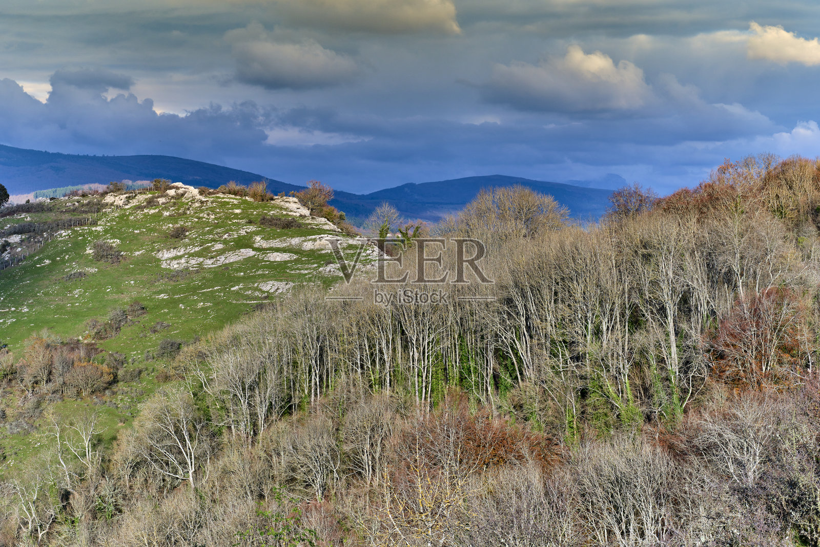 丘陵和山毛榉森林下的云雾景观照片摄影图片