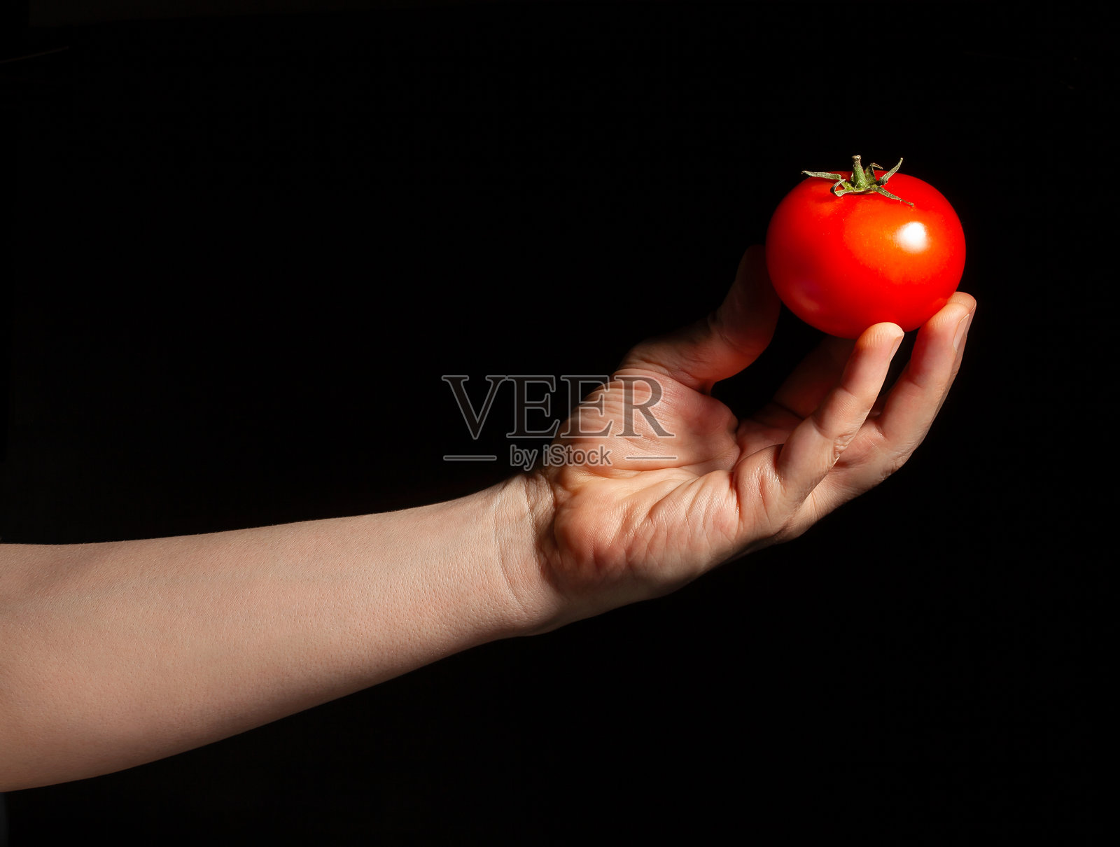 黑色背景下手中拿着番茄照片摄影图片