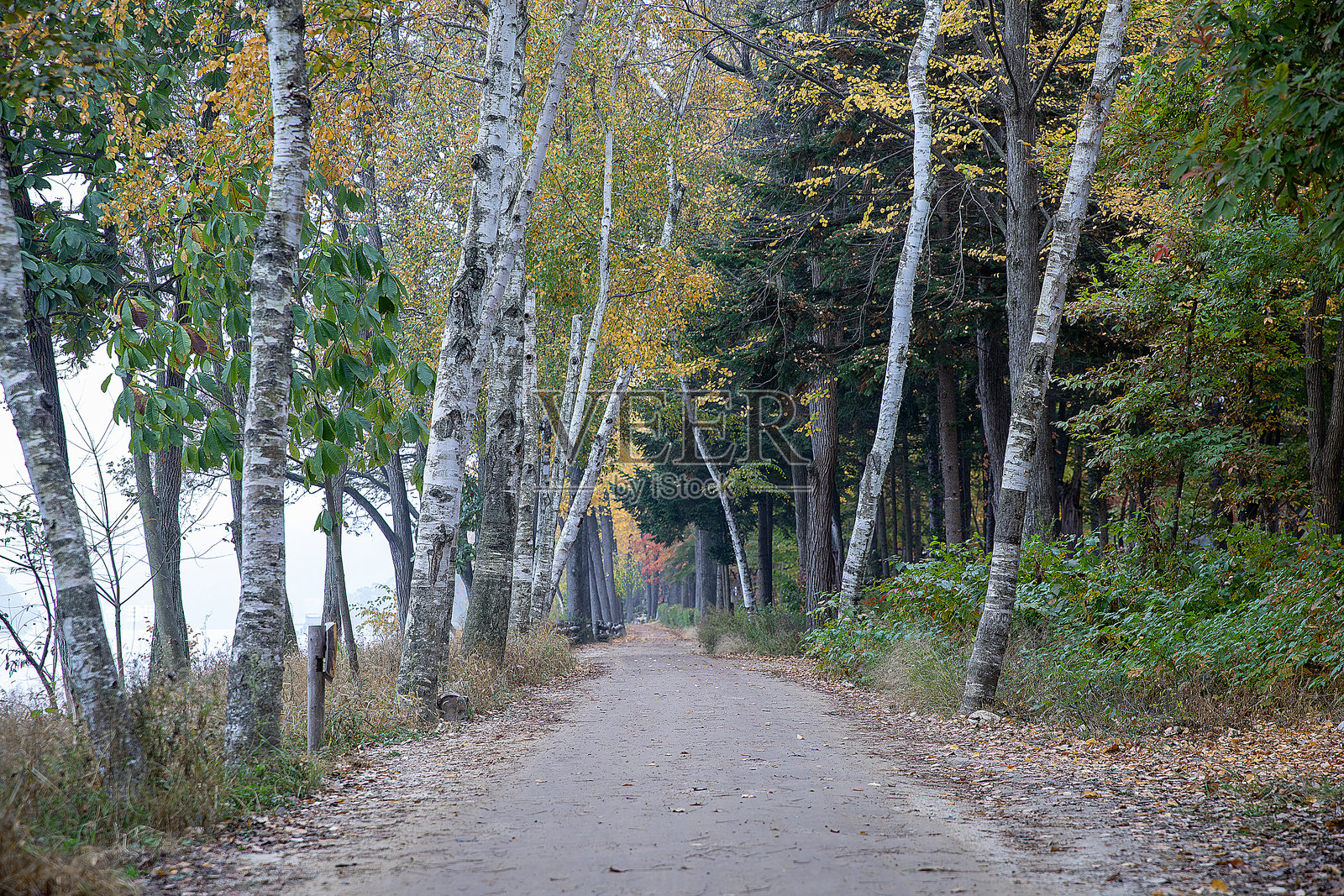 秋天的风景照片摄影图片