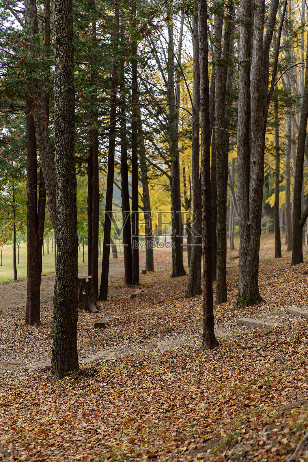 秋天的风景照片摄影图片