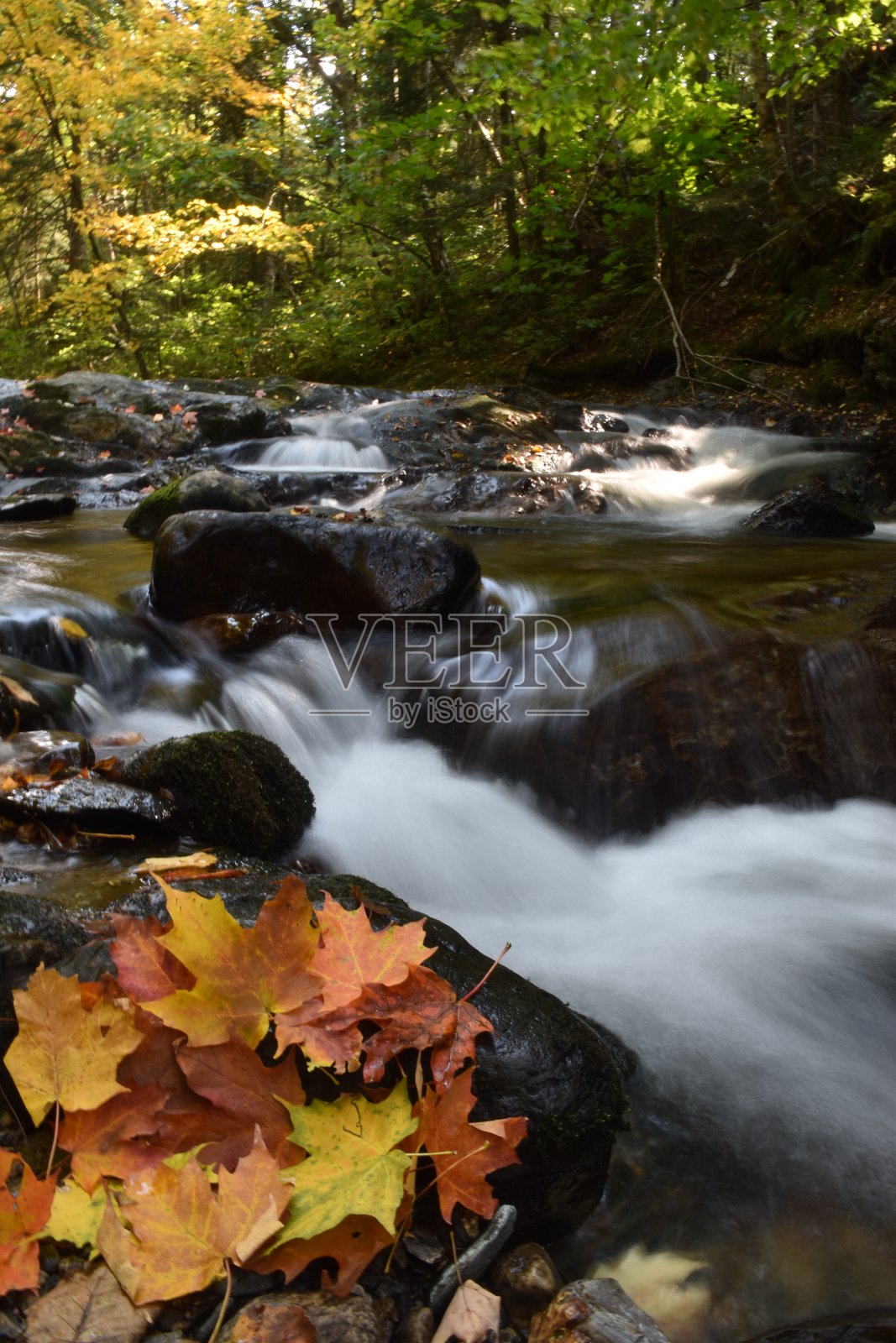 秋天的河流照片摄影图片