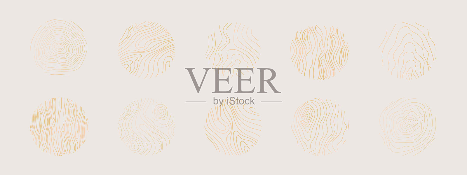 金色细线树轮集合。优雅的金色木材截面纹理圆圈。地形图地理网格轮廓。木桩木材。矢量插图插画图片素材