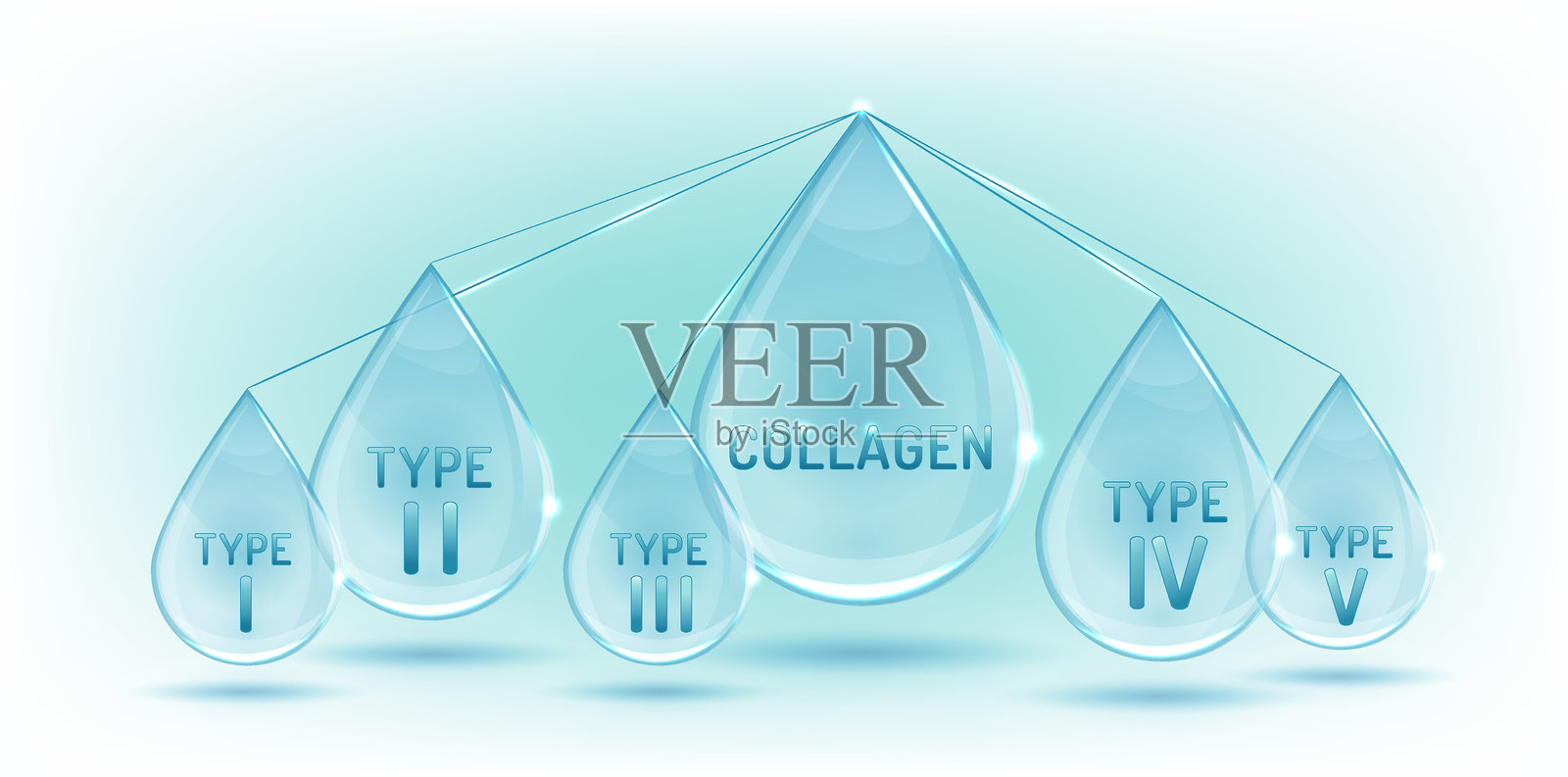 透明的胶原蛋白类型信息图。结缔组织蛋白。插画图片素材