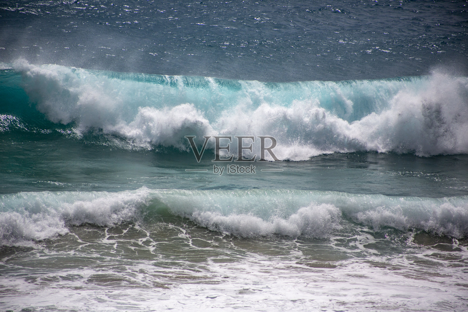 奄美的自然照片摄影图片