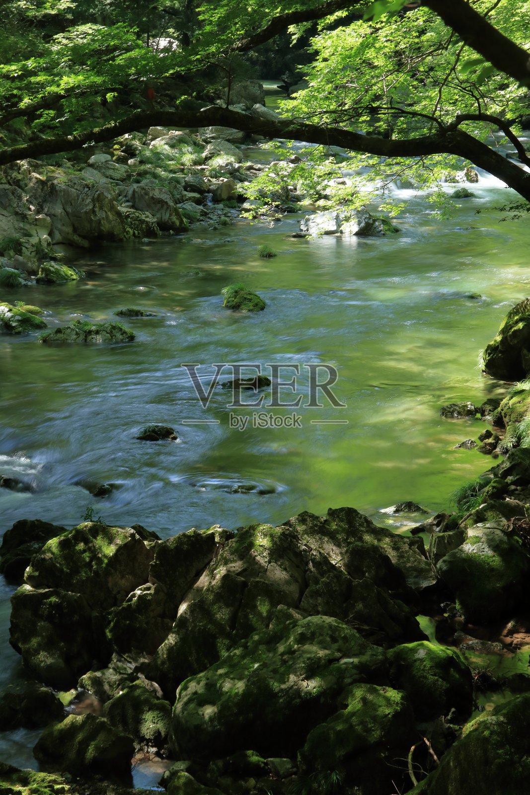 大山谷，水面泛绿（爱媛县）照片摄影图片