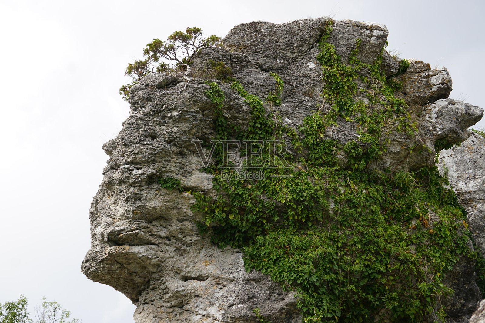 低角度视图的岩石形成与晴朗的天空照片摄影图片