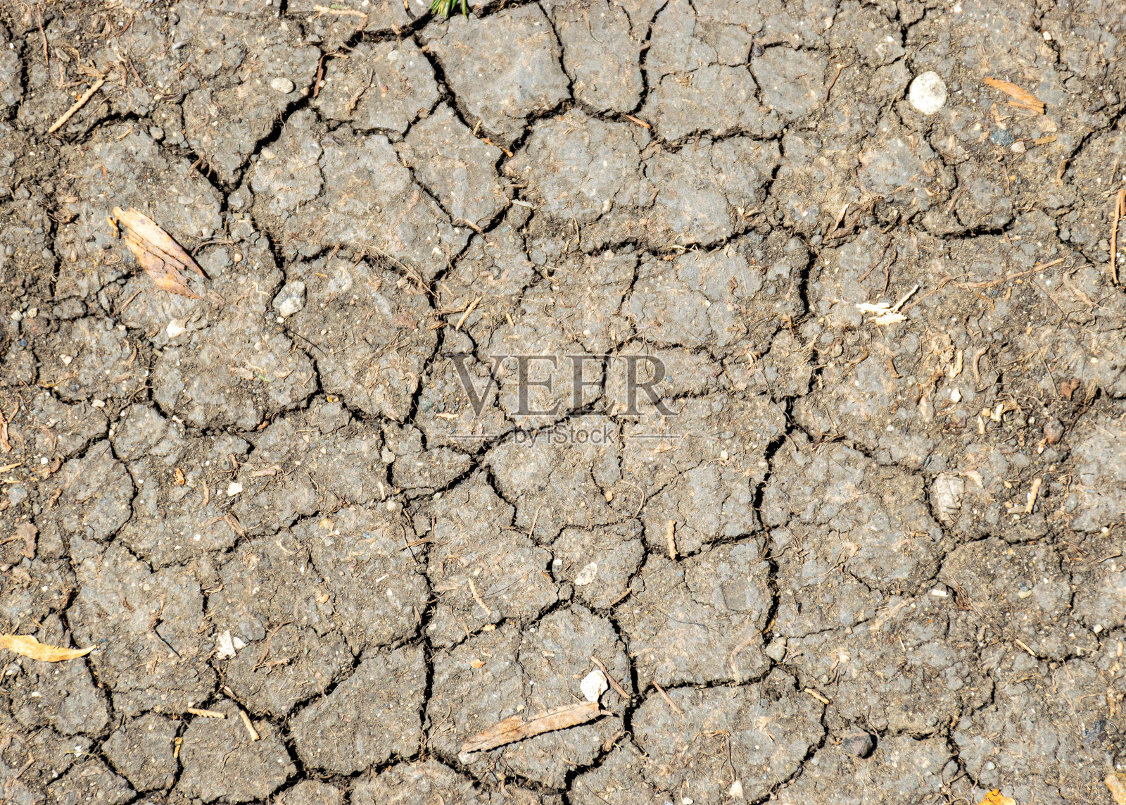 裂纹土壤纹理，抽象图像，适合用作背景。照片摄影图片