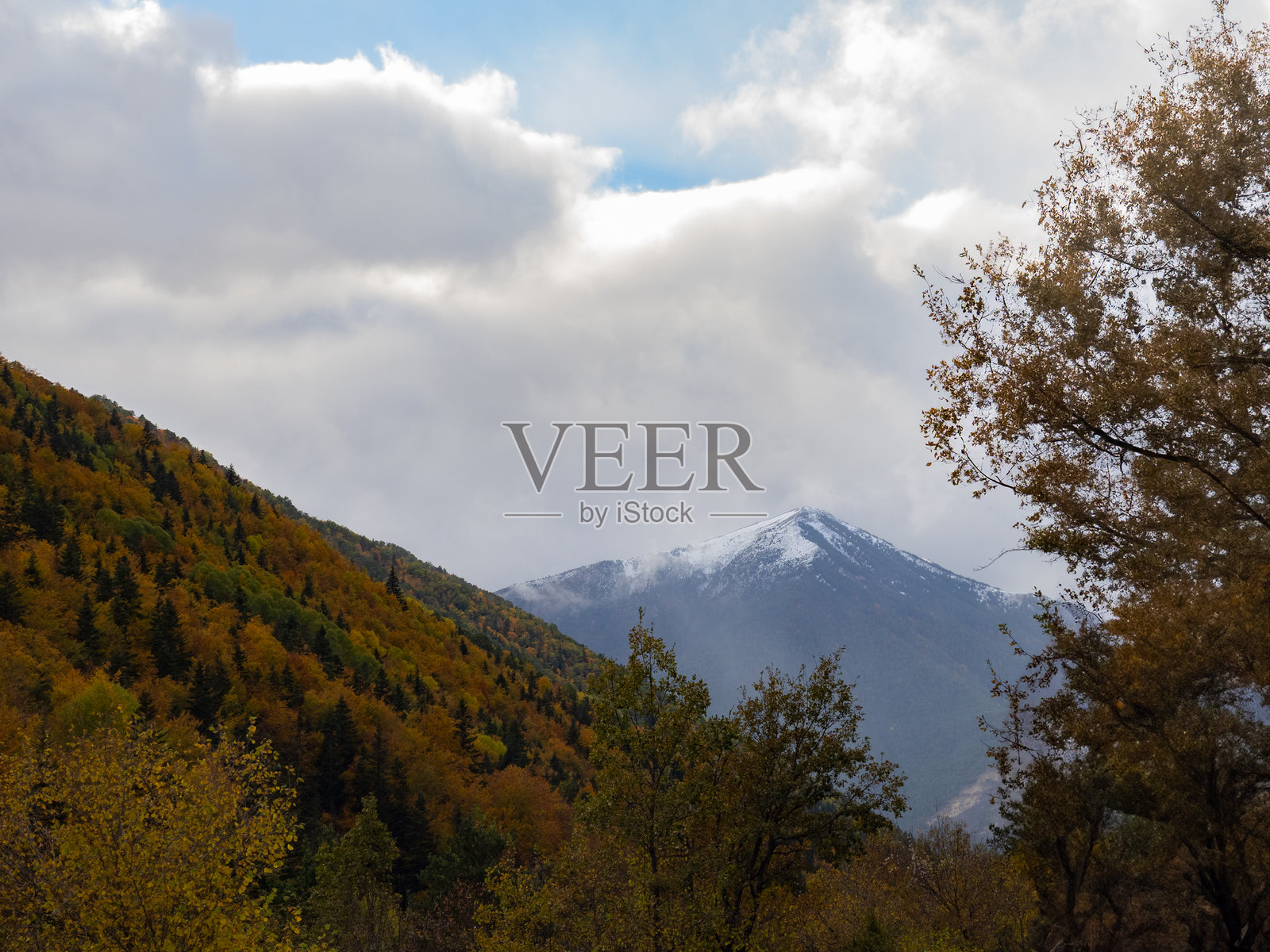 阿拉贡比利牛斯山脉的秋季森林。森林呈现橙色和秋天的黄色。照片摄影图片