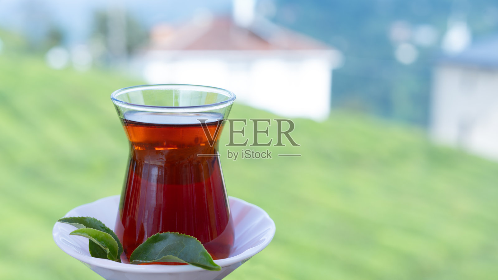 茶园田地照片摄影图片