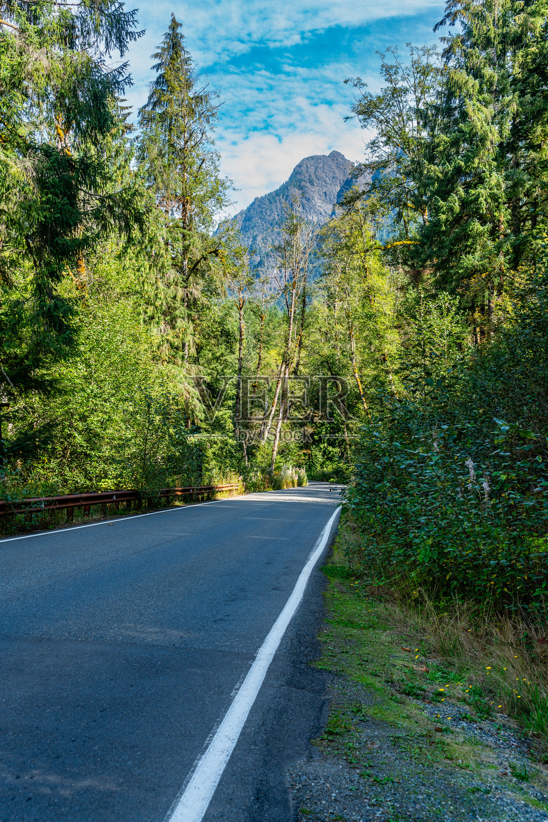 华盛顿州公路3照片摄影图片