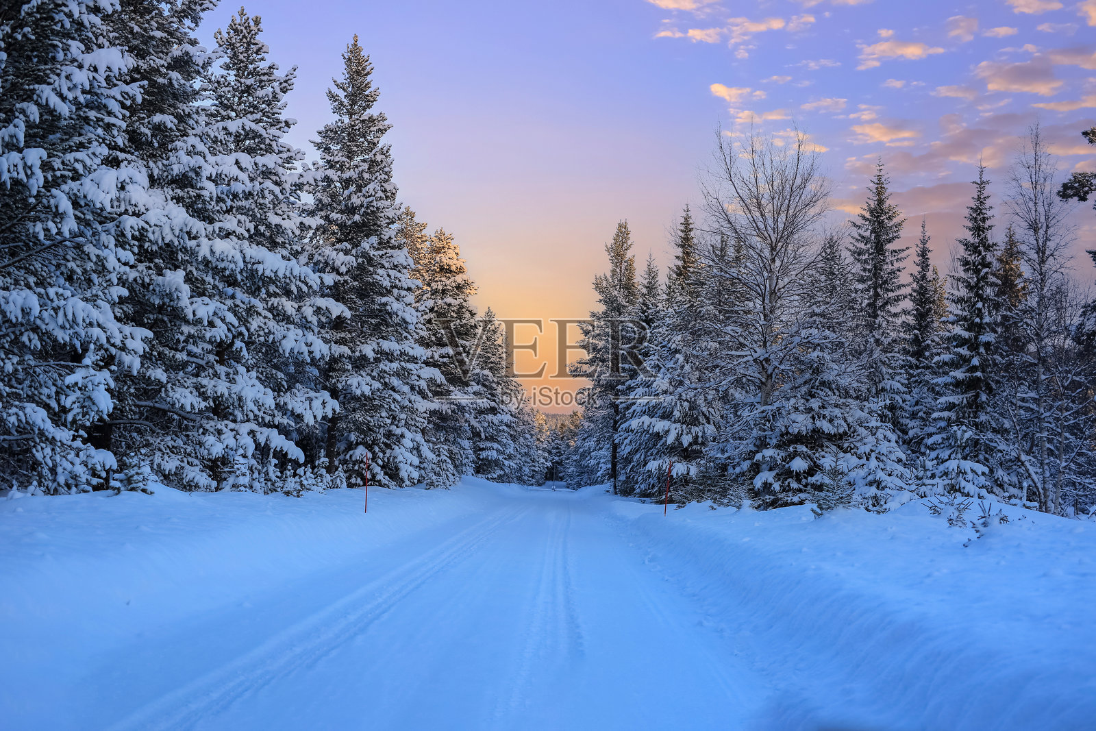 雪-covered冬季森林照片摄影图片