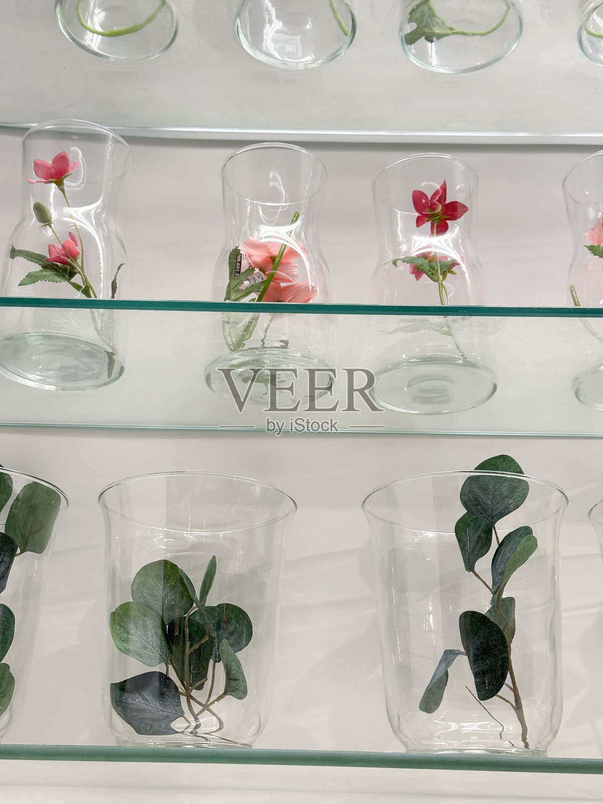 墙上玻璃架上摆放着插着花或绿叶的玻璃花瓶特写，重点在前照片摄影图片