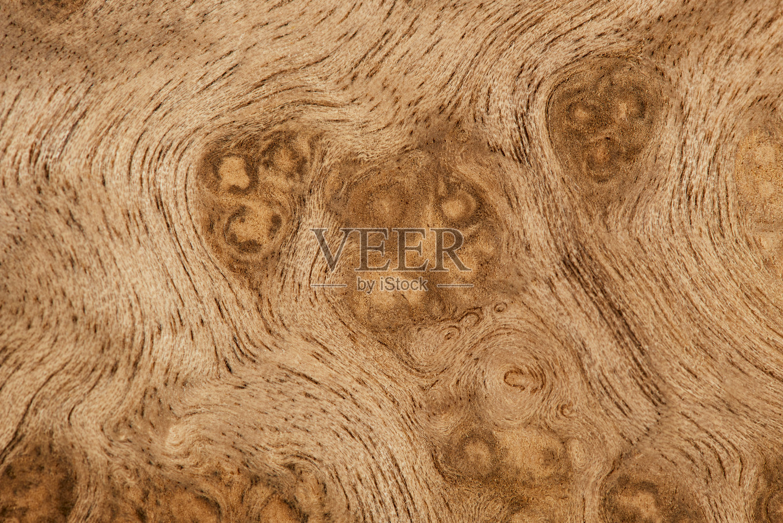 樟树表面纹理背景照片摄影图片