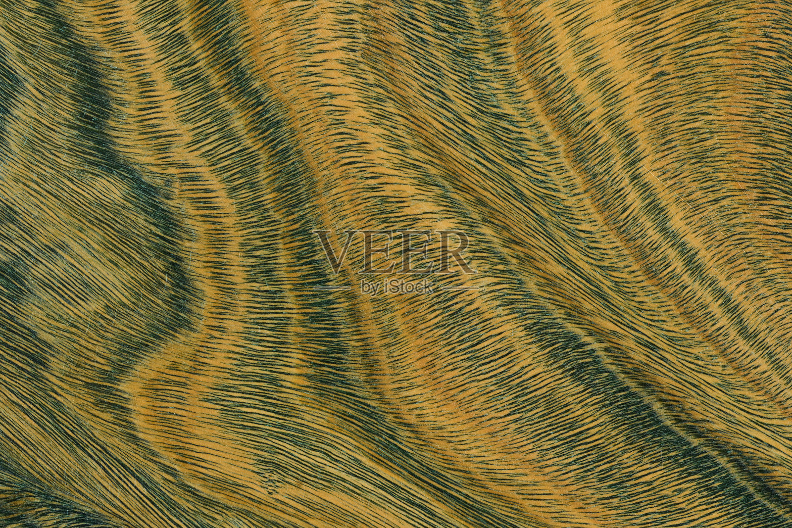 绿色和棕色的巴洛圣木纹理。照片摄影图片