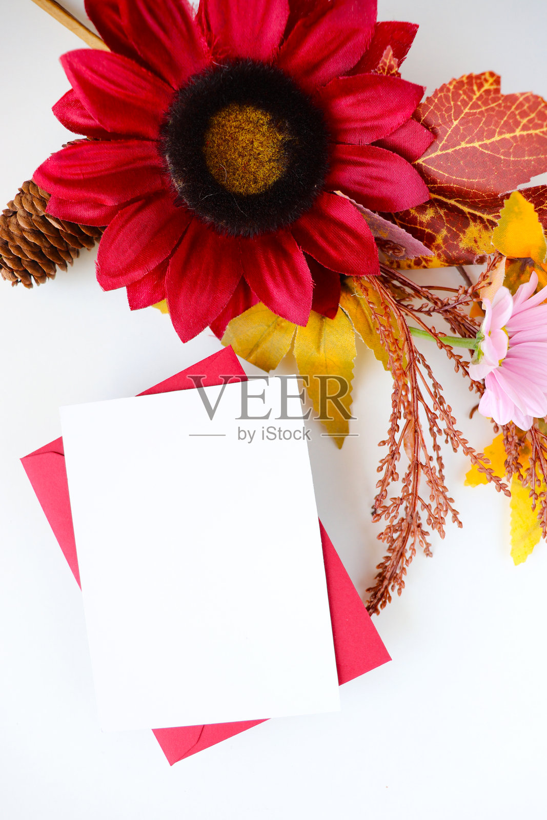 五彩斑斓的秋叶构成的秋季画面，留有文字空间照片摄影图片