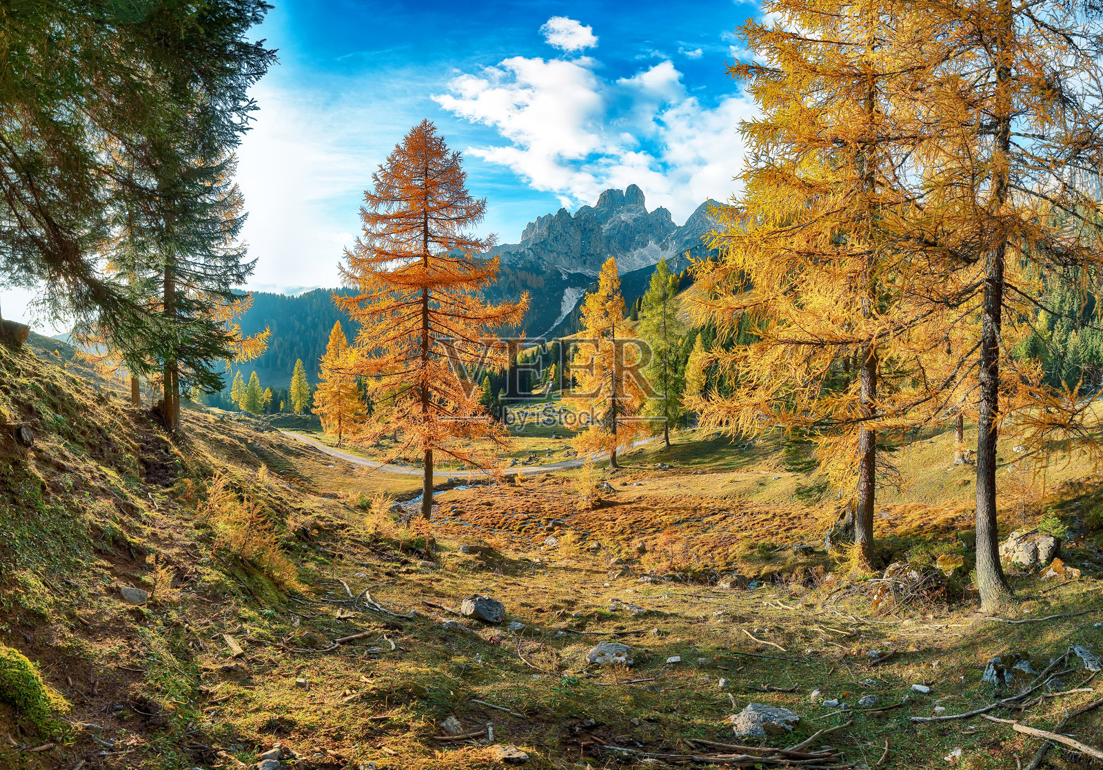 菲尔茨莫斯的山脉和山谷美景，伴随着落叶松森林和壮丽的天空。照片摄影图片