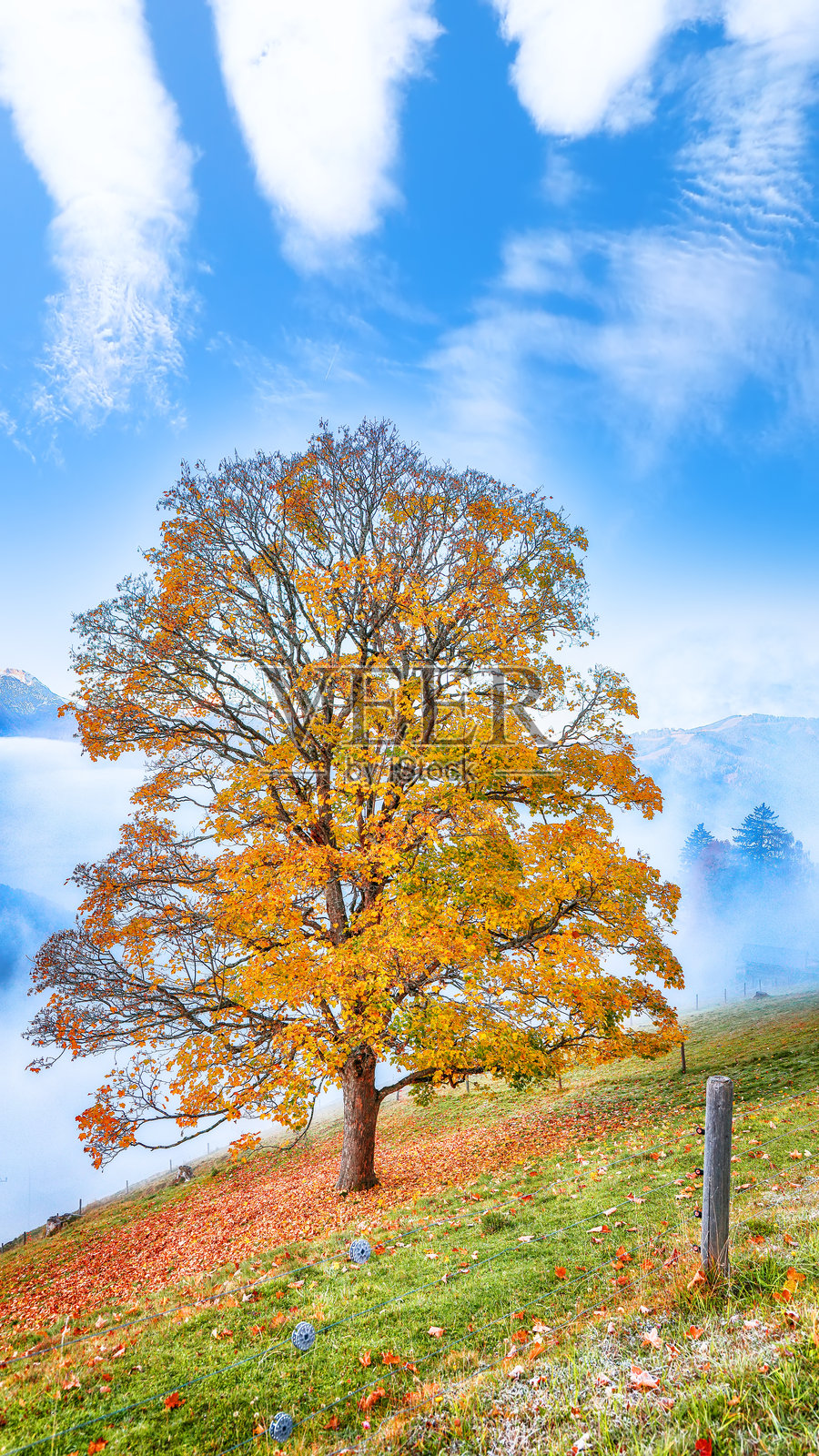泽尔湖周围草地和山脉的壮丽景色照片摄影图片