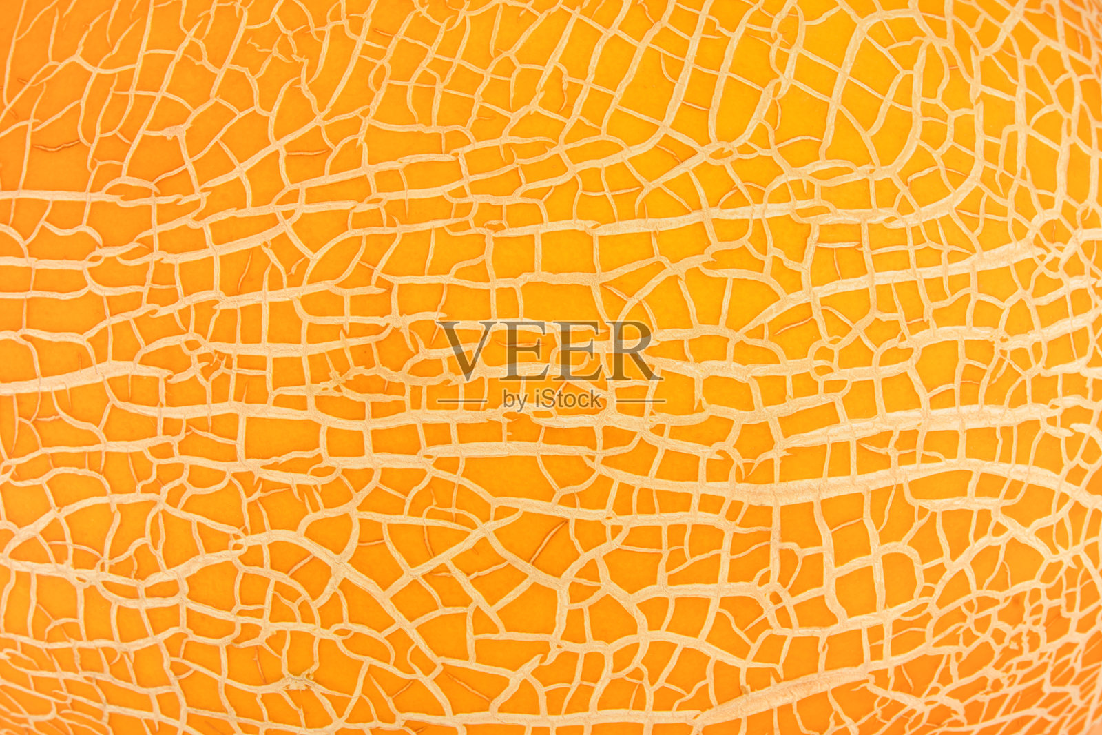 裂纹的瓜皮，黄色背景纹理。俯视图。特写。照片摄影图片