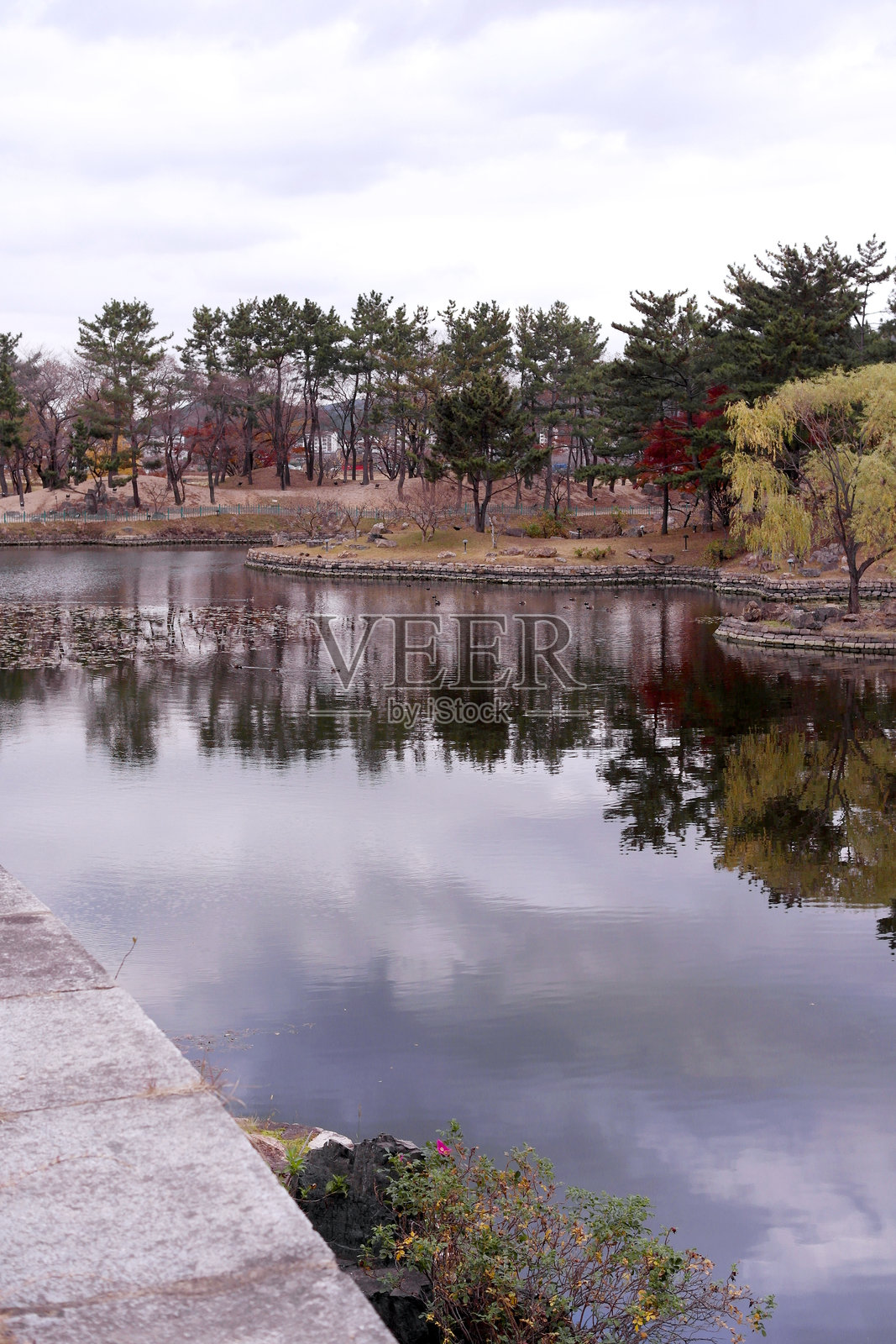 韩国庆州秋季树木与蓝天白云的倒影风景照片摄影图片