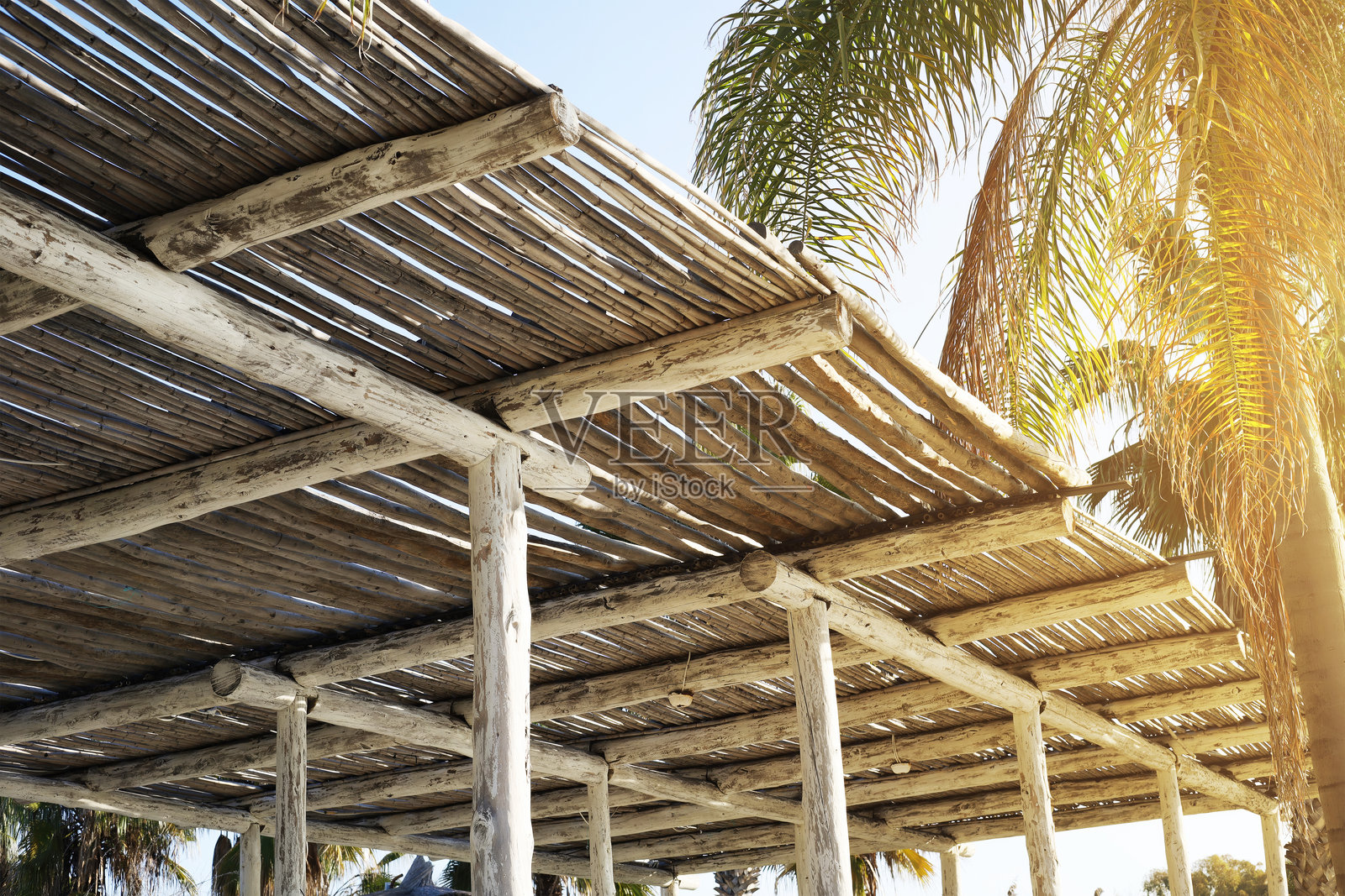 阳光下的竹棚与棕榈树照片摄影图片