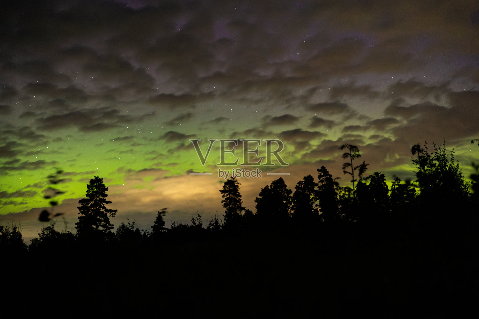 生动的极光映衬着树木的剪影照片摄影图片