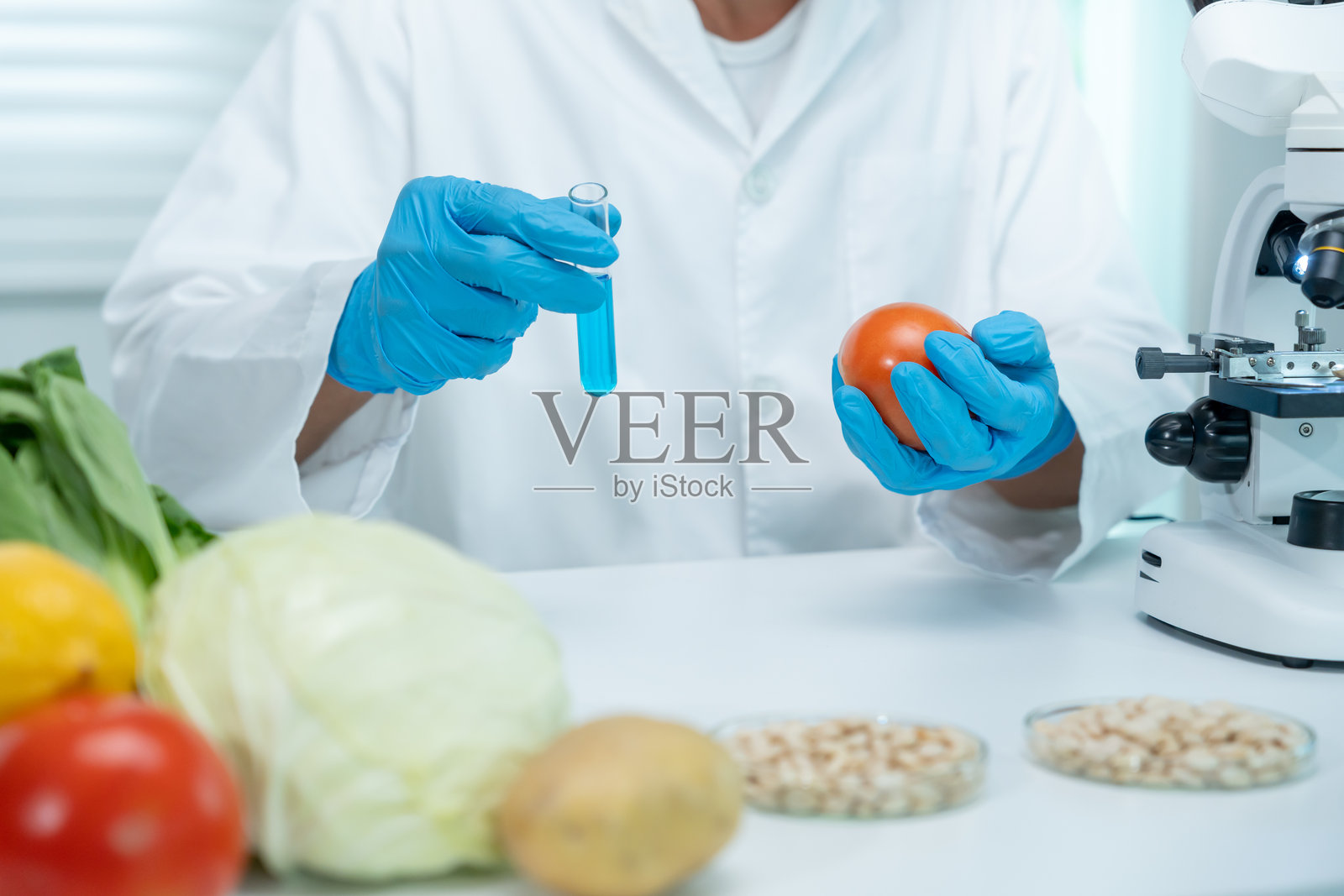 科学家在实验室检查食品化学残留物照片摄影图片