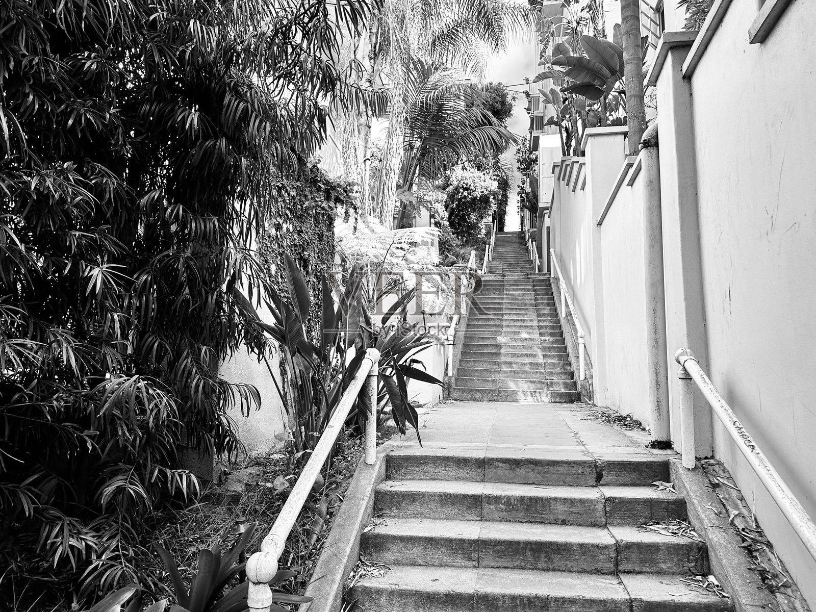 加利福尼亚州拉荷亚的户外楼梯照片摄影图片