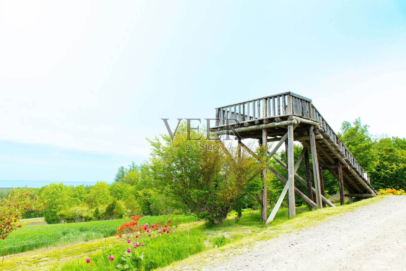 日本北海道知床的凉亭。照片摄影图片