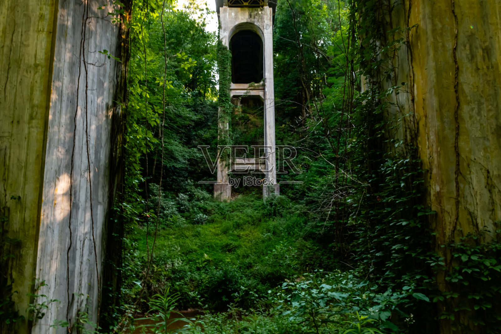 弗吉尼亚蓝岭公园风景优美的景观照片摄影图片