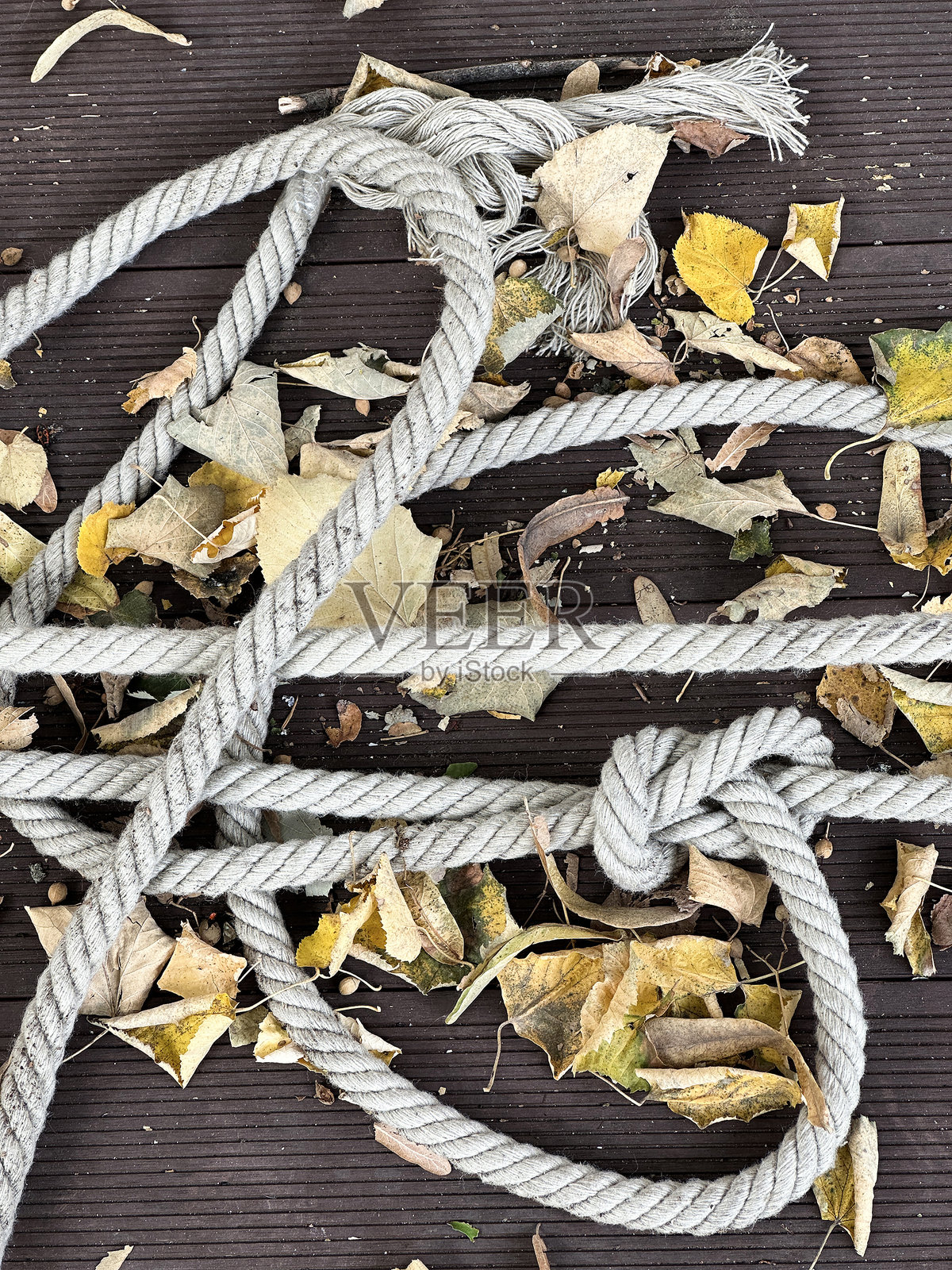 秋天时甲板上的绳子与落叶照片摄影图片