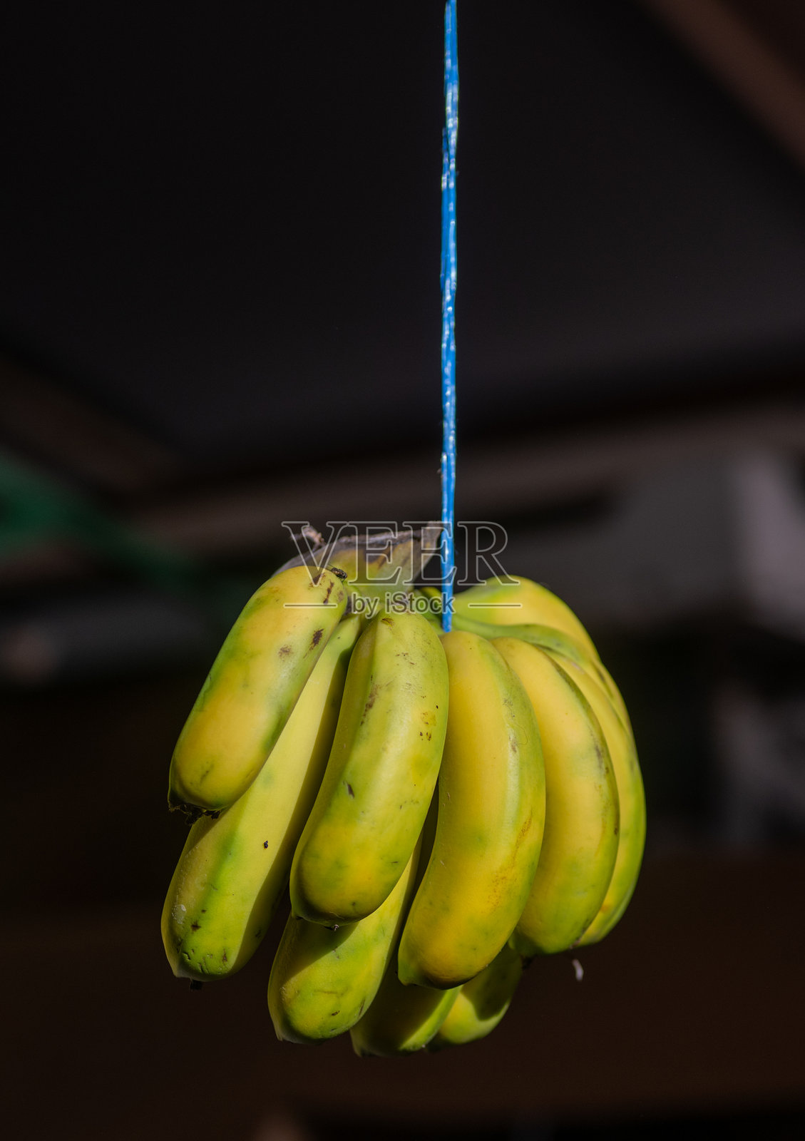 一串悬挂的香蕉，背景为深色。照片摄影图片