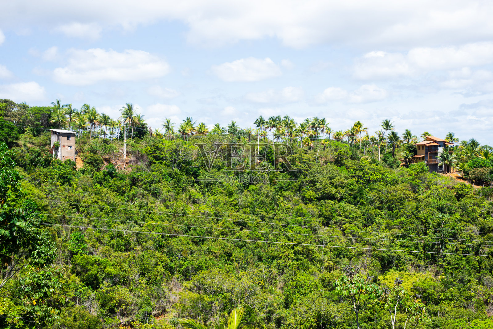 从上方俯瞰巴伊亚州伊塔卡雷市的森林，树木和乡村房屋尽收眼底。照片摄影图片