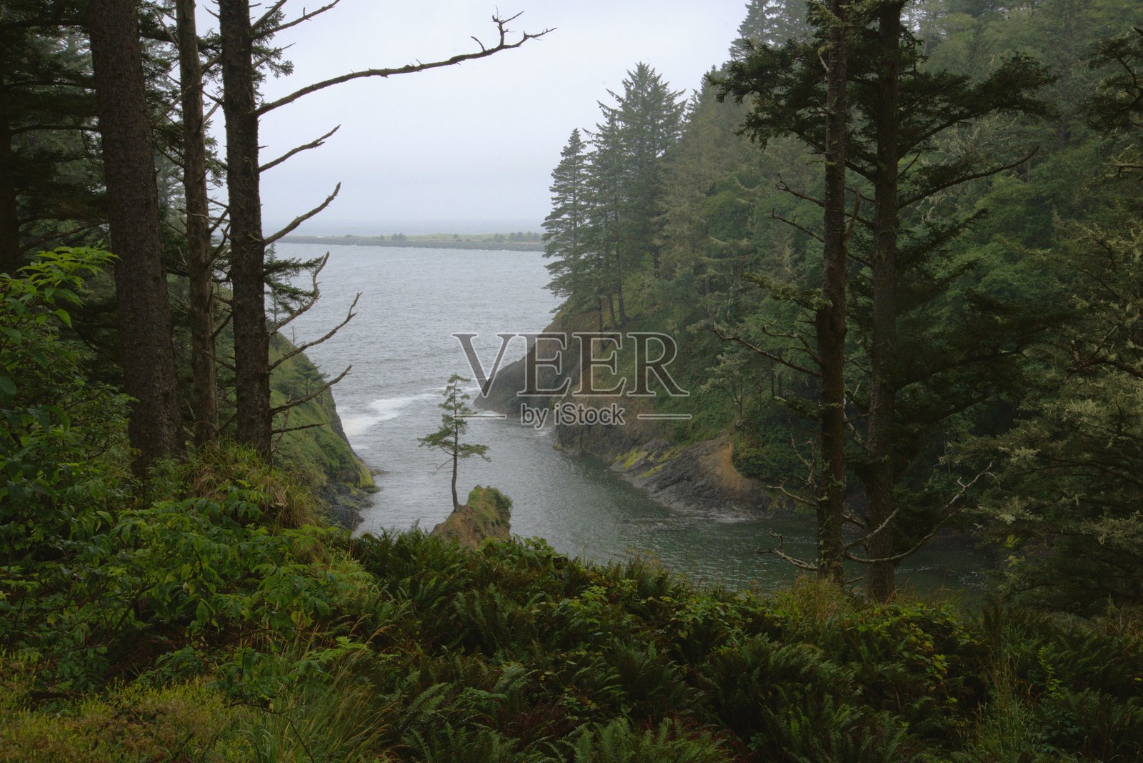 密林中隐藏的小型保护海滩的鸟瞰图，阴云密布的日子照片摄影图片