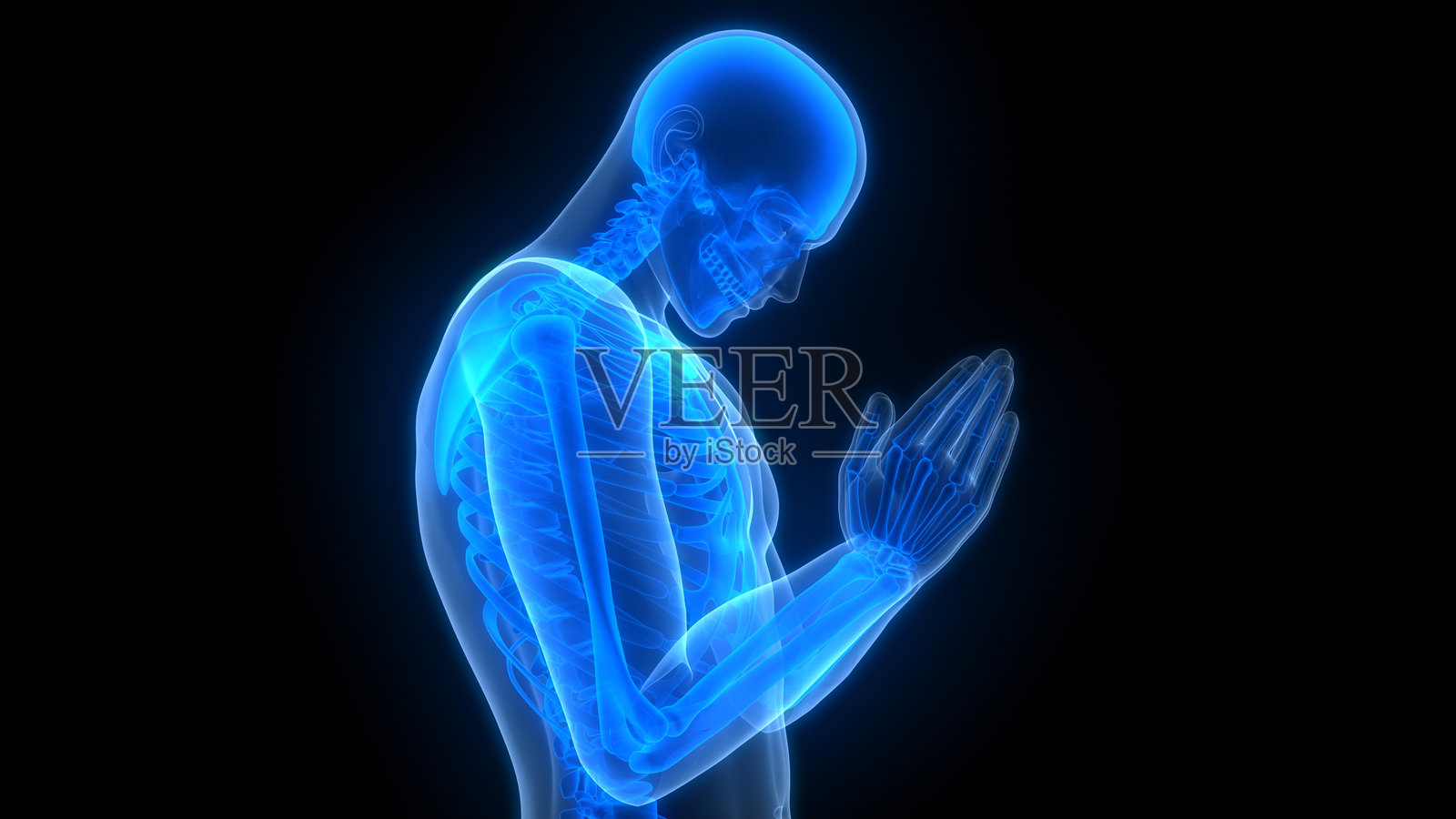 人体骨骼系统骨关节解剖照片摄影图片