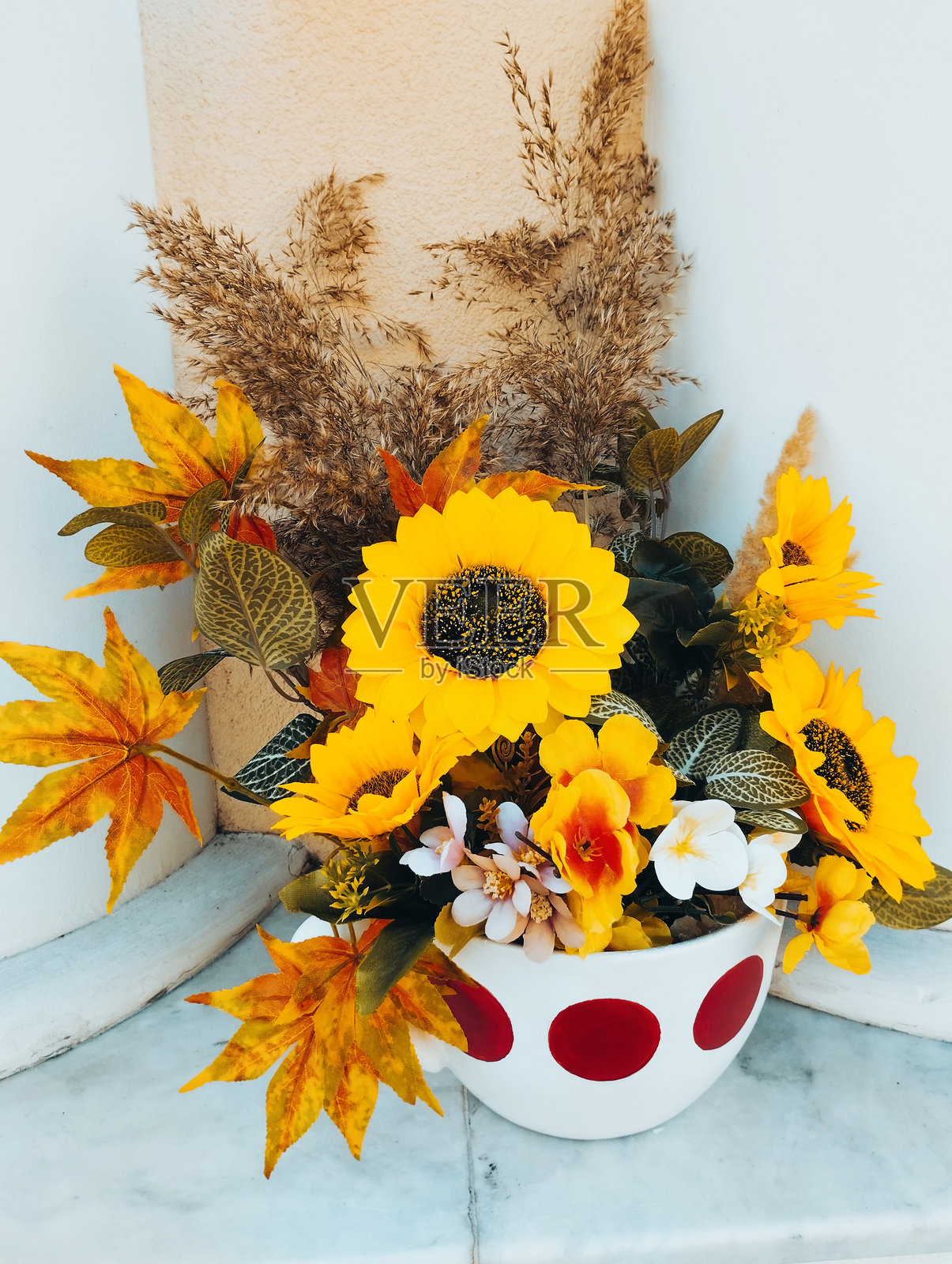 花卉插花照片摄影图片