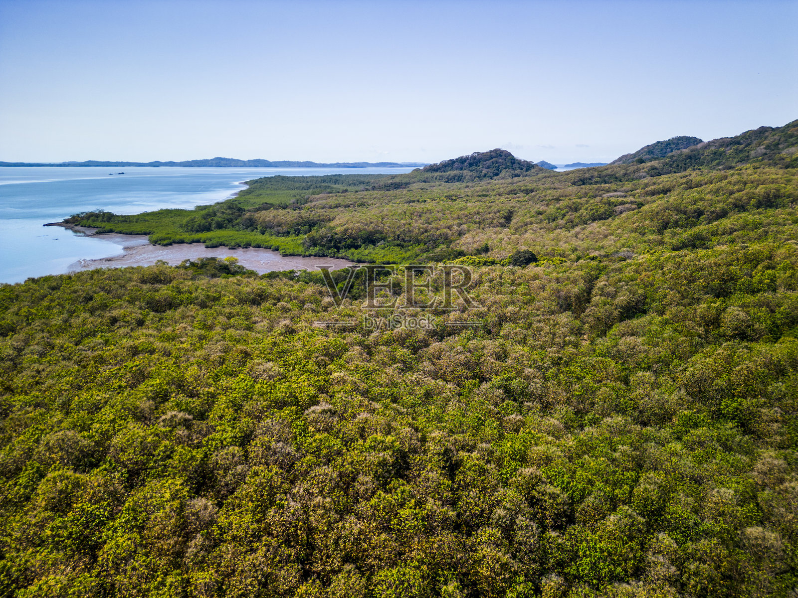 巴拿马奇里基的红树林和海岸 - 股票照片照片摄影图片