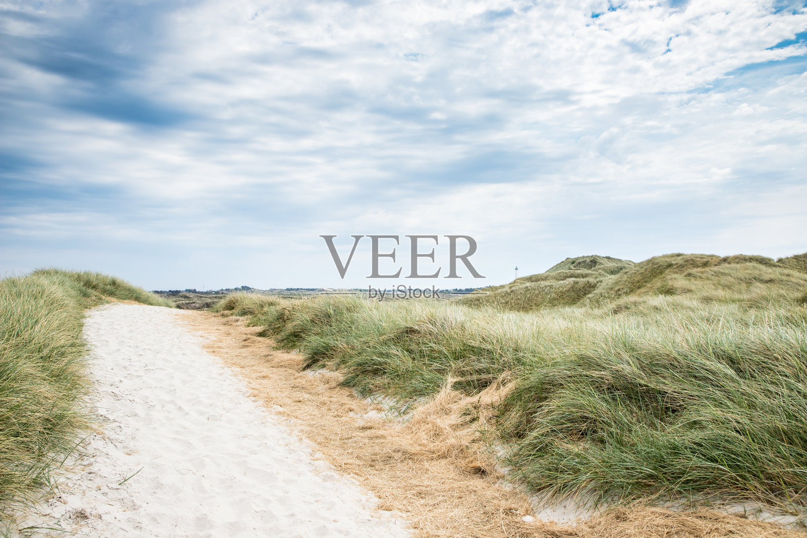 丹麦北部自然中的海滩生活照片摄影图片