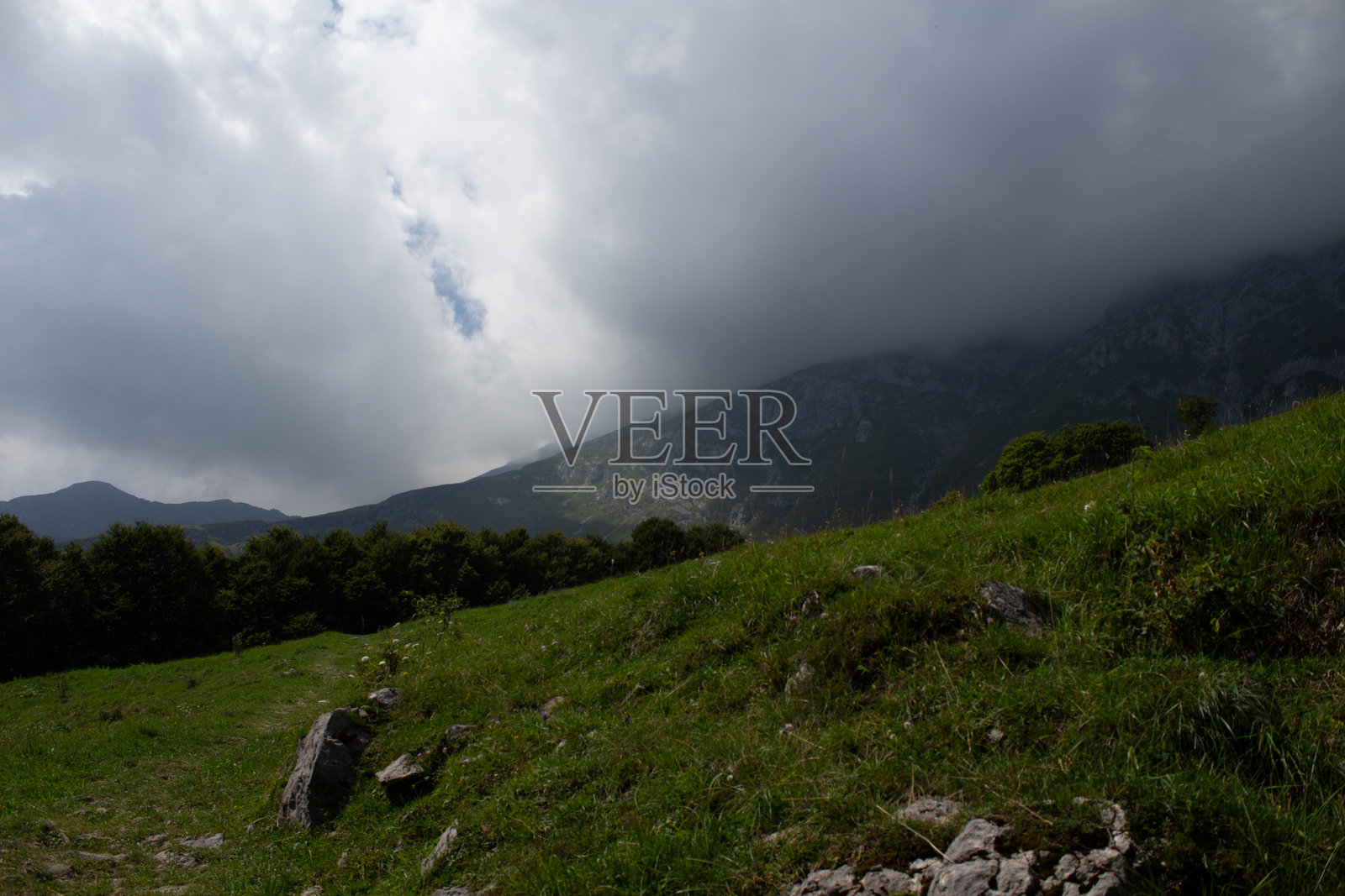 绿色广袤的草地照片摄影图片