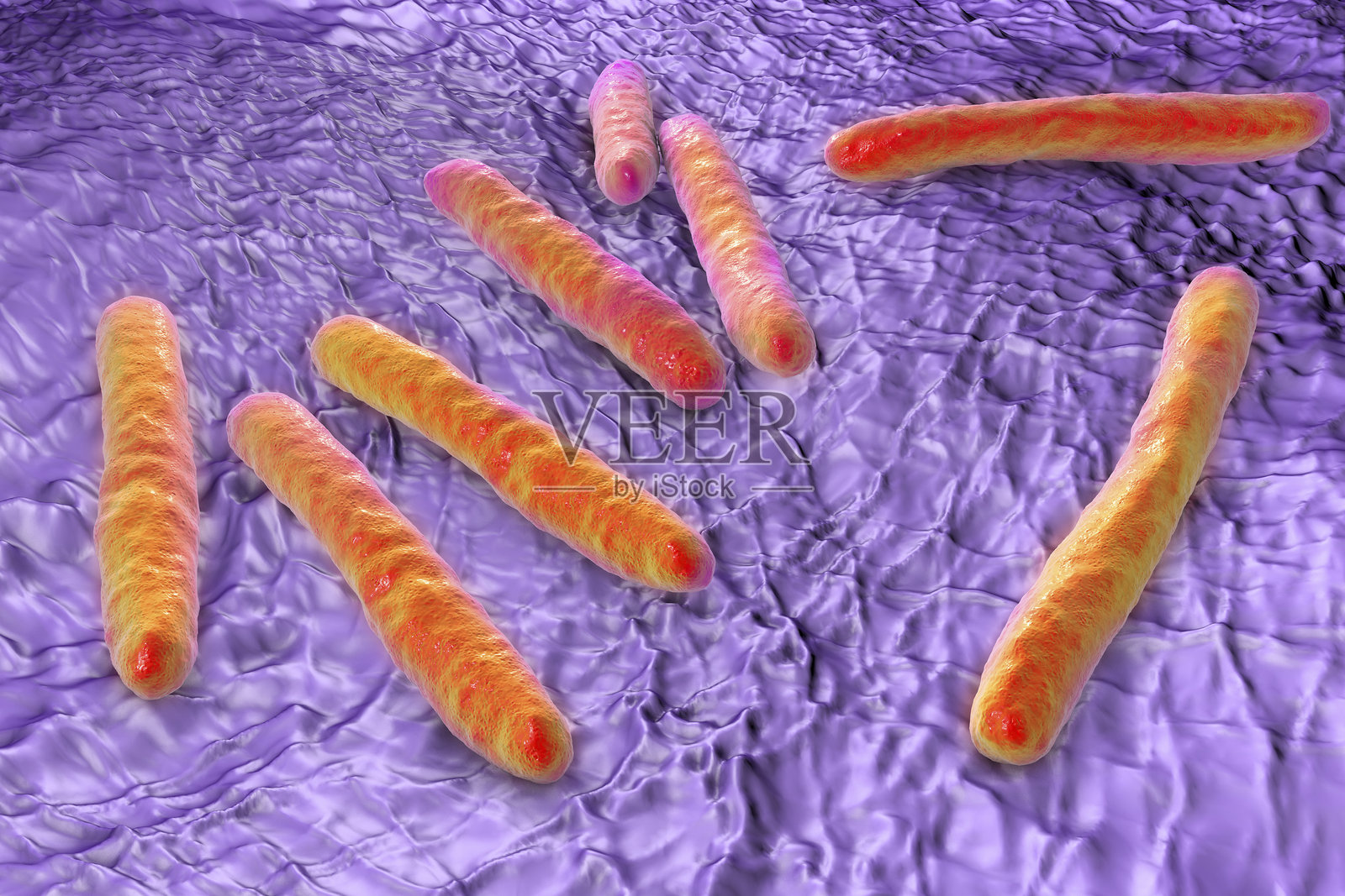 结核杆菌示意图照片摄影图片