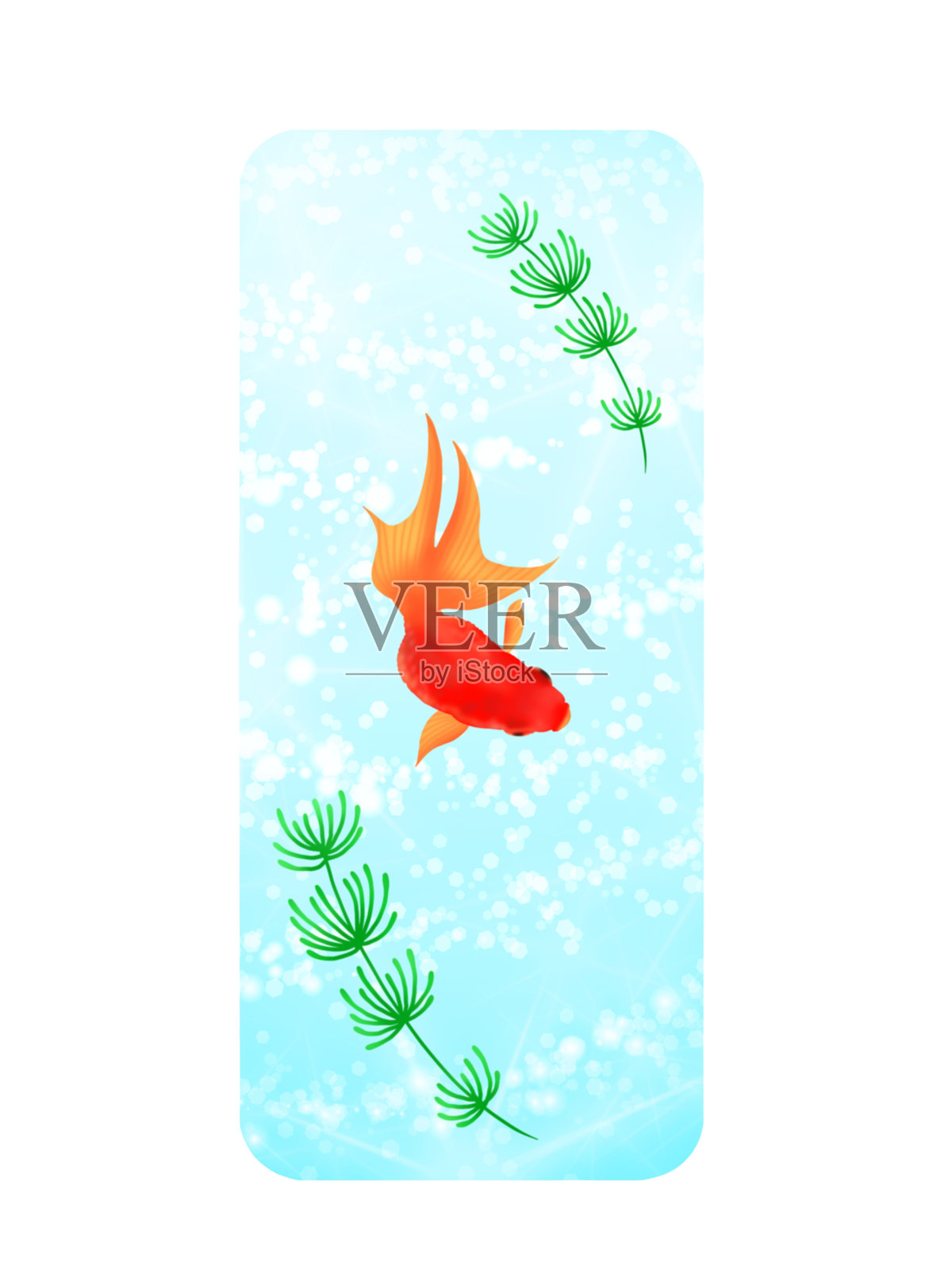 金鱼照片摄影图片