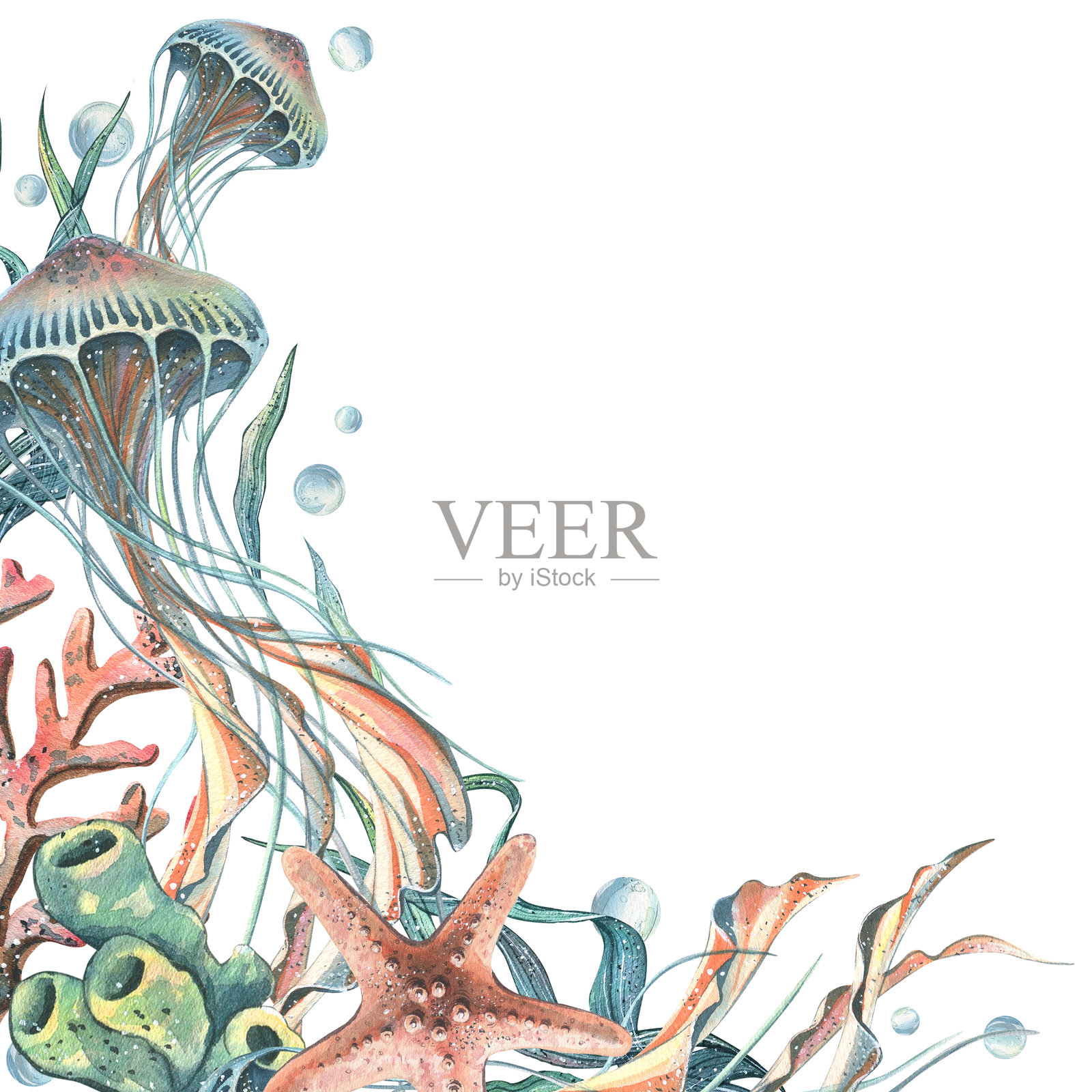 海马、水母、贝壳、珊瑚、海星、海绵、藻类、卵石和气泡。手绘水彩插图展示海洋动物和水下场景。文本的方形模板框架。插画图片素材