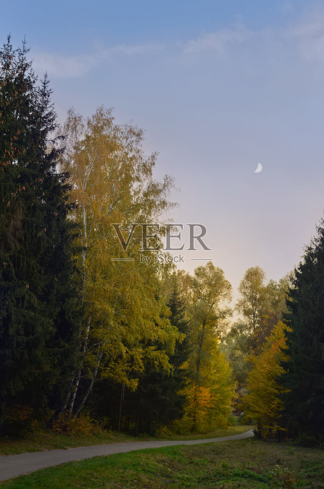 城市外的秋天。照片摄影图片