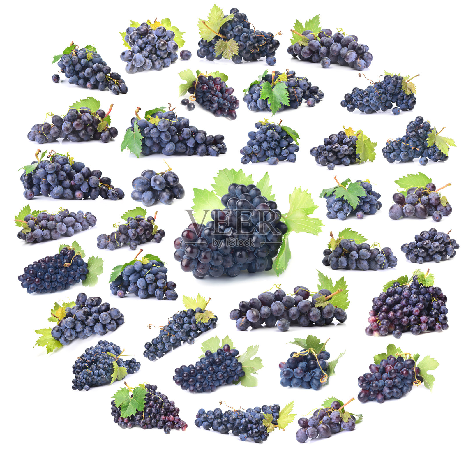 葡萄采摘照片摄影图片