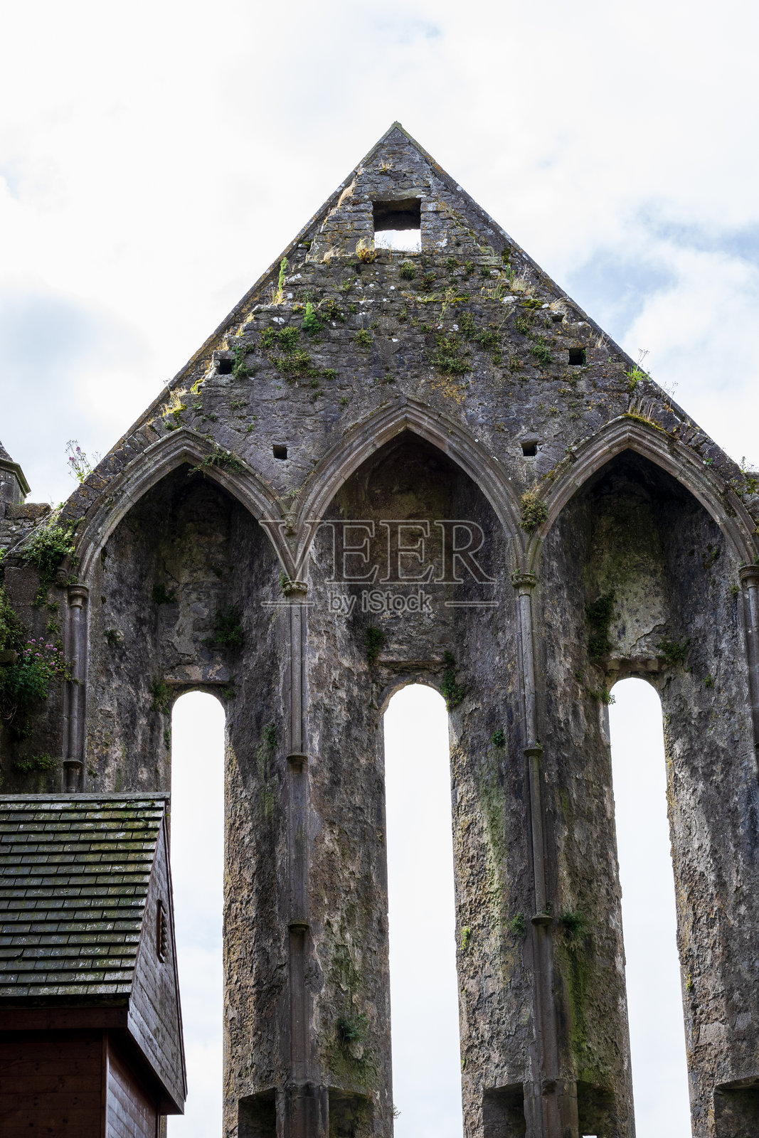 爱尔兰照片摄影图片