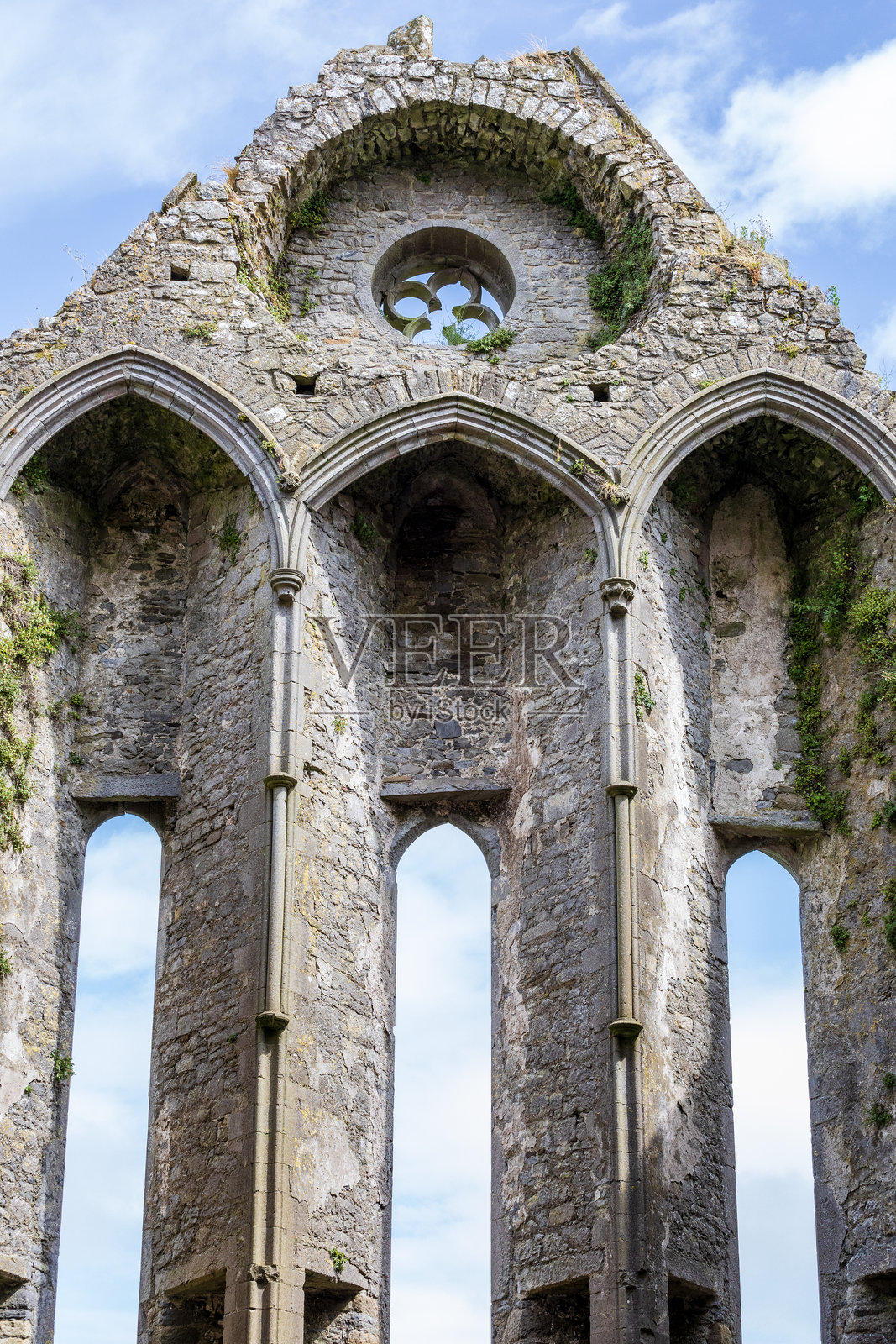 爱尔兰照片摄影图片