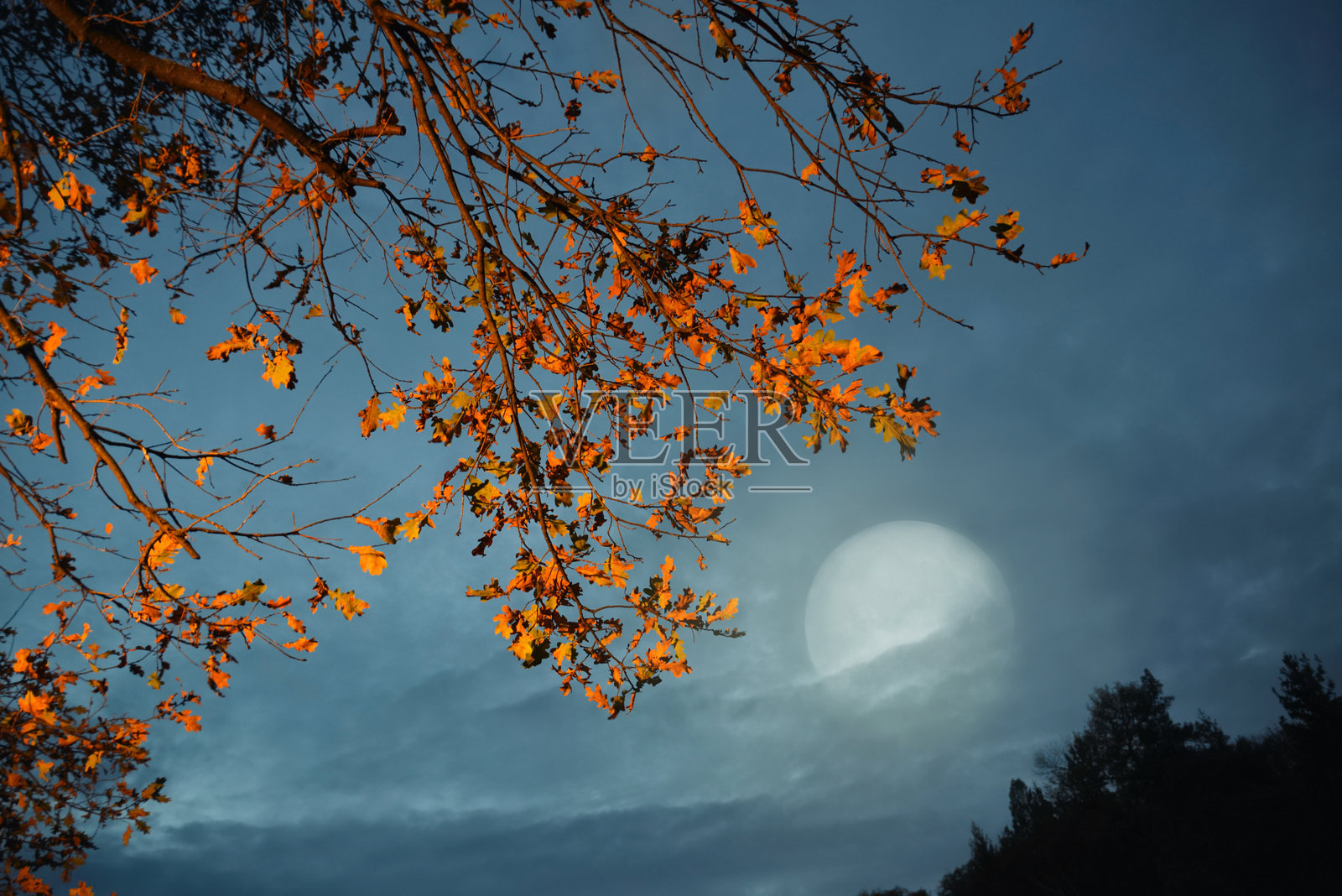 深秋照片摄影图片