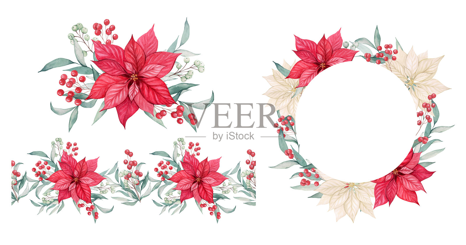 水彩圣诞套装，包含一朵一品红花。由红色花朵组成的构图、框架和边框。圣诞节和新年假日设计与装饰。带有叶子和浆果的花卉圣诞星。插画图片素材